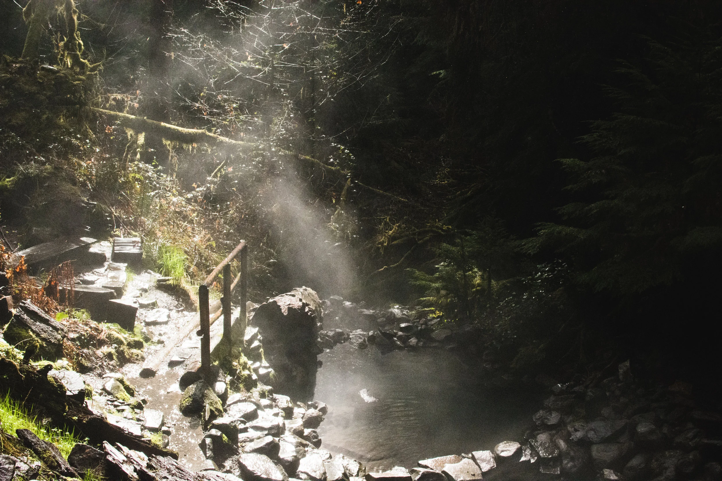 cougar hot springs