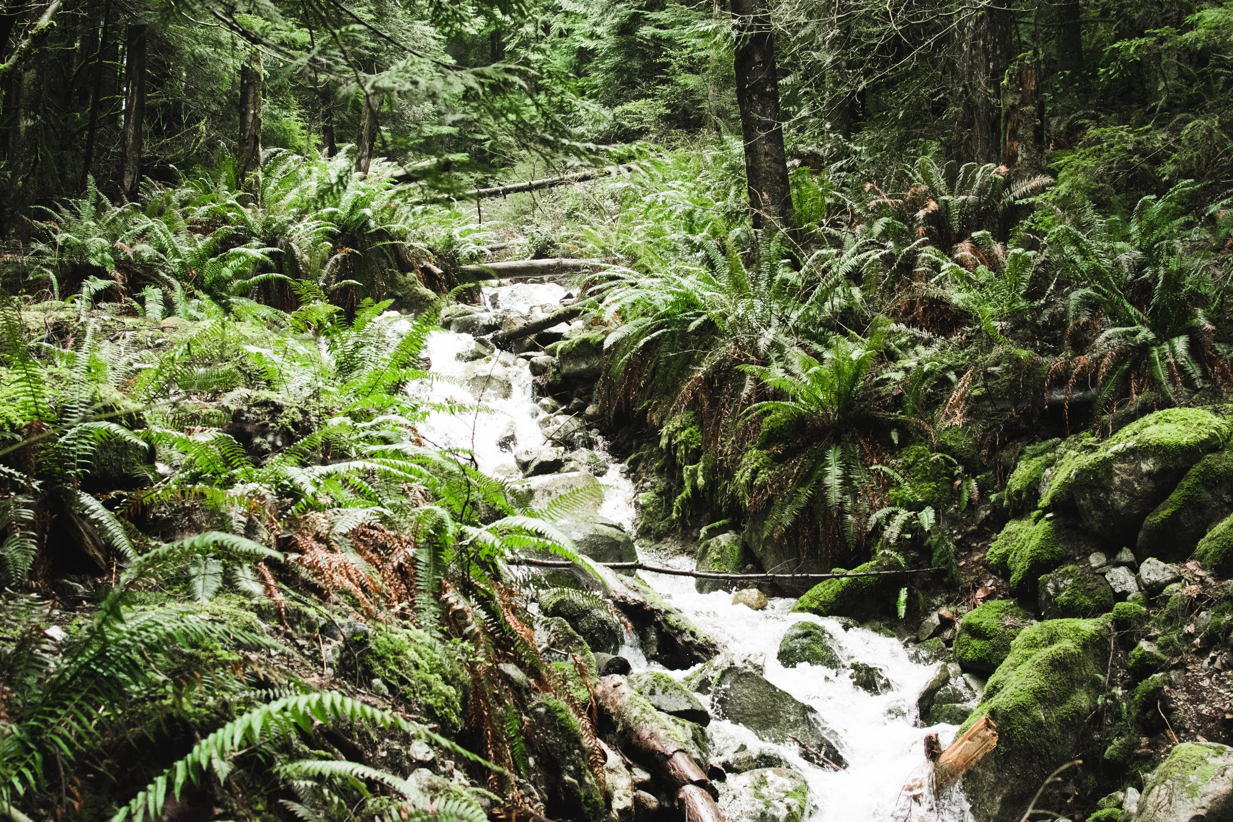 golden ears provincial park