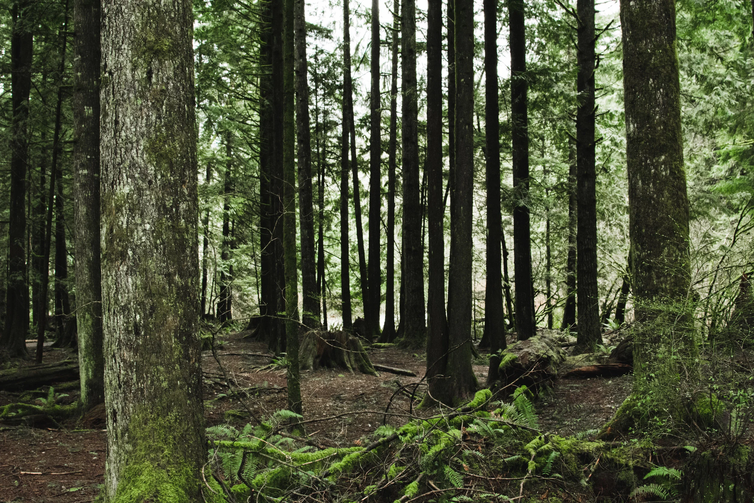 golden ears provincial park
