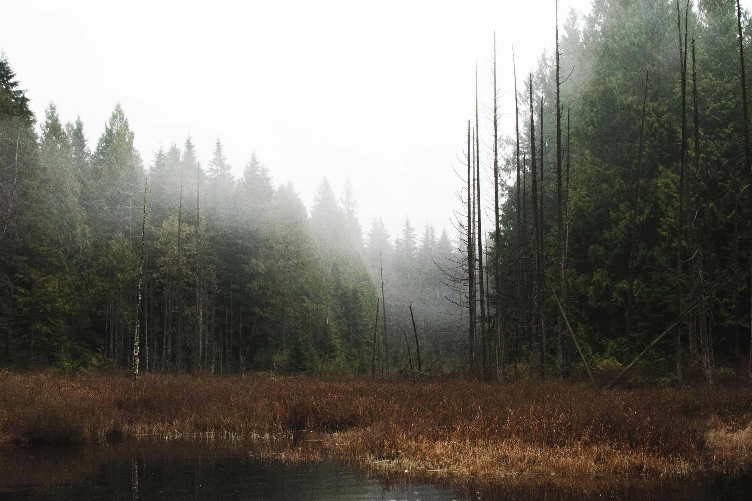 mike lake