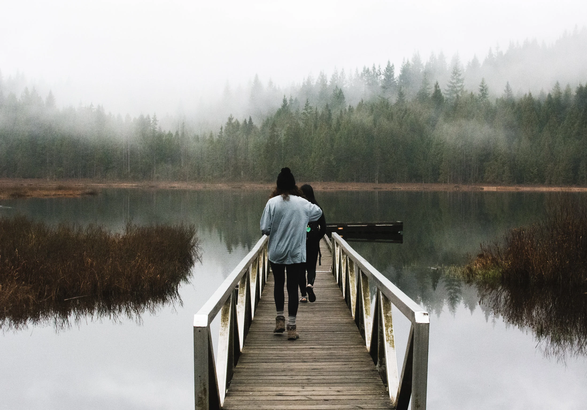 mike lake