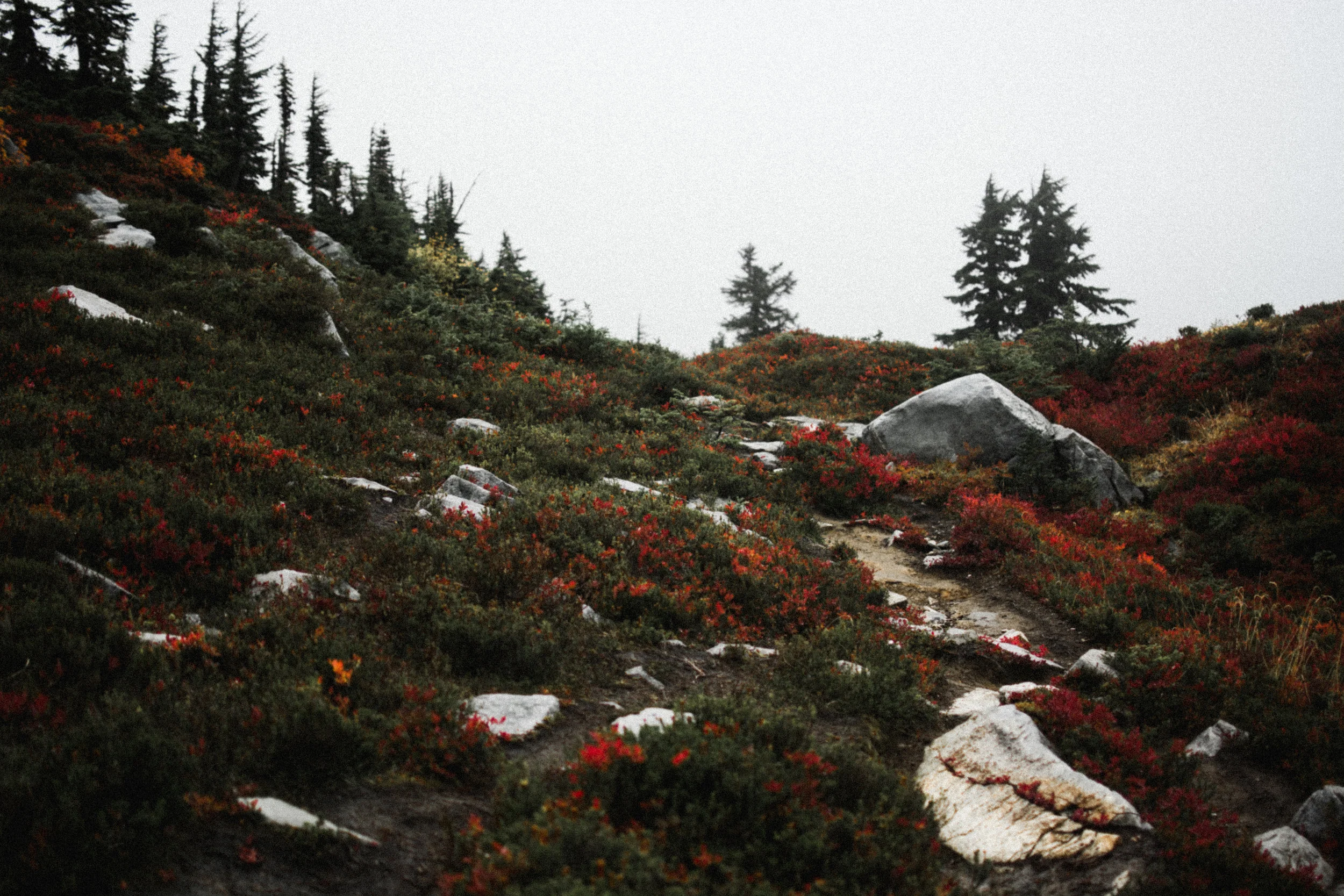 minotaur lake