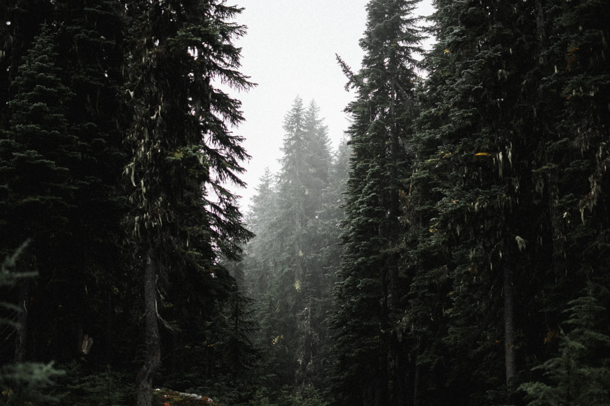 steven's pass