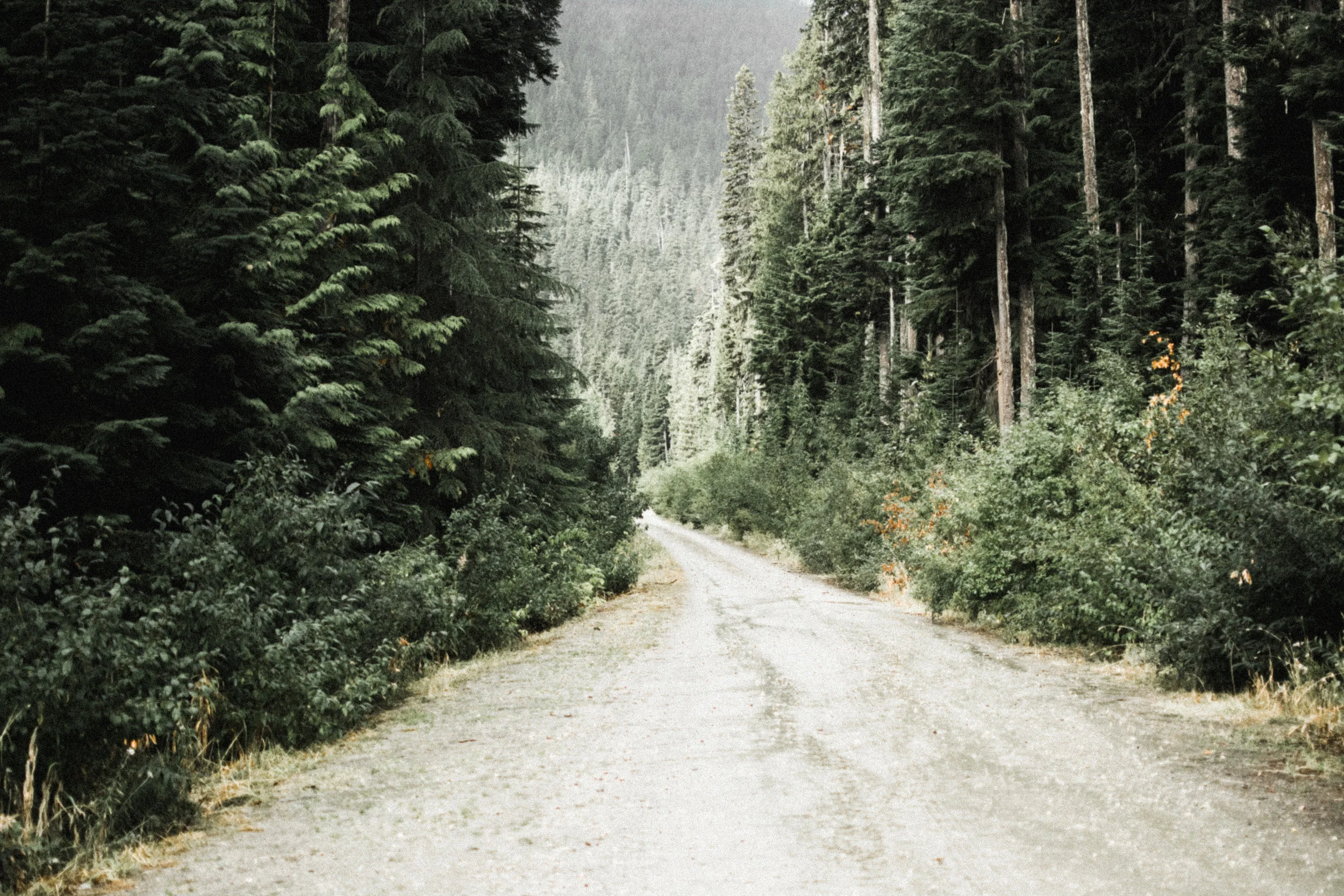steven's pass