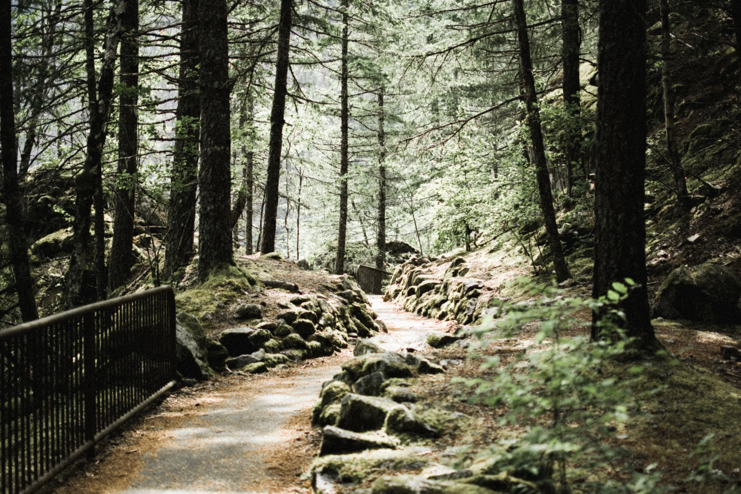 north cascades national park