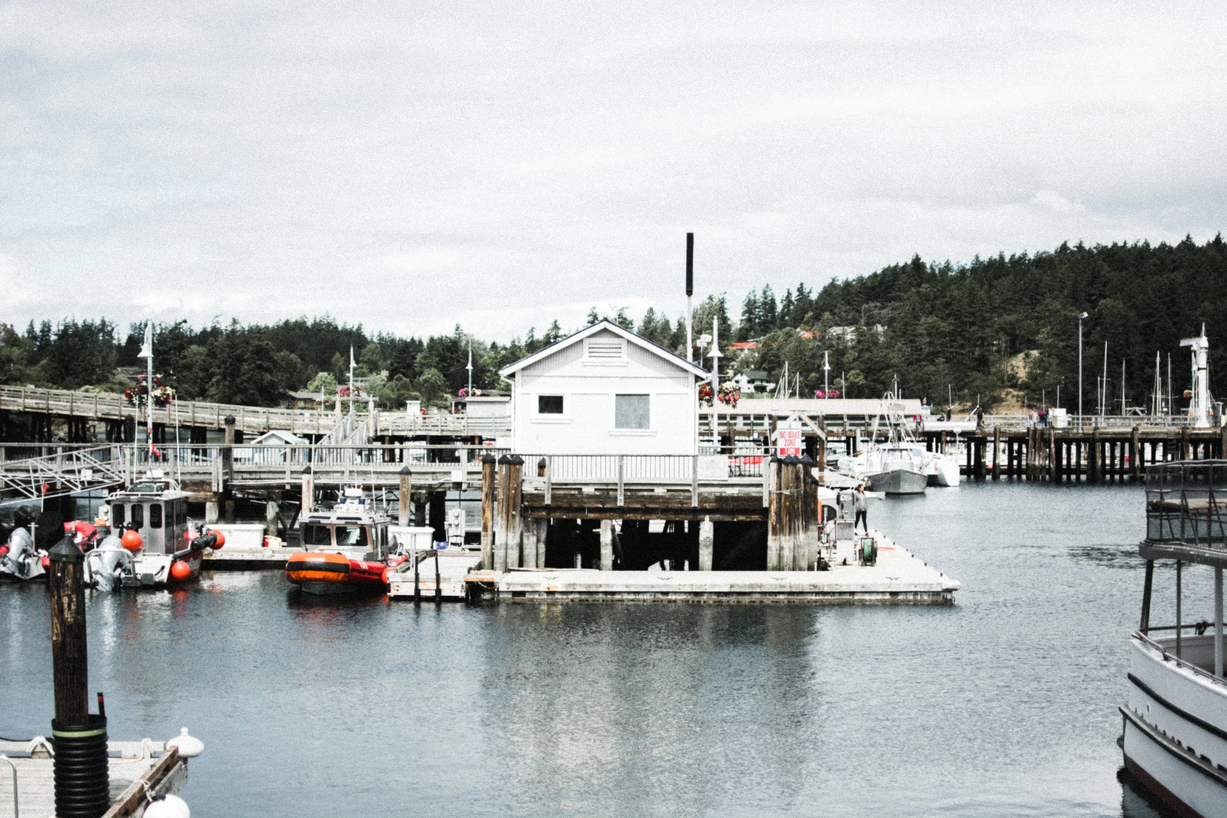 friday harbor