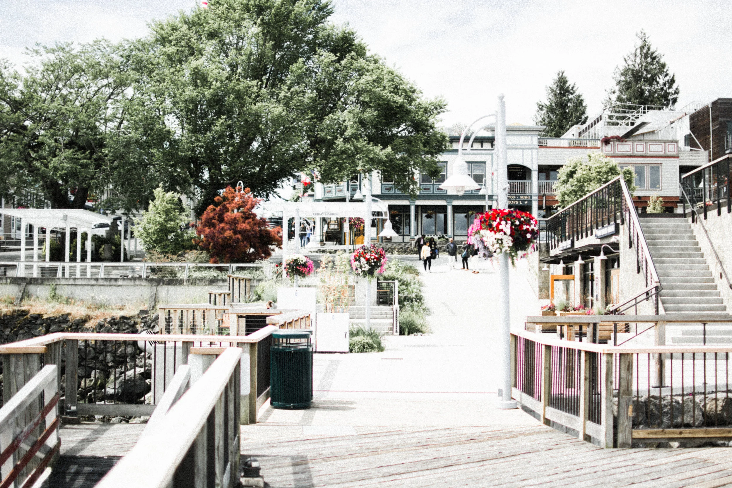 friday harbor