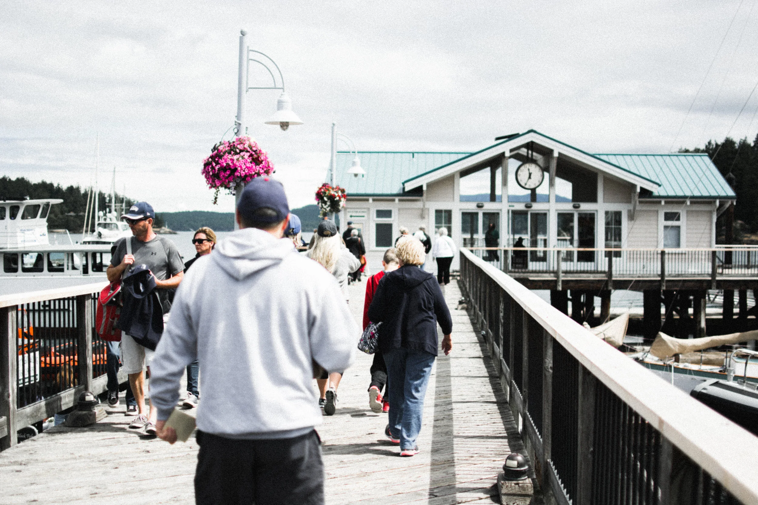 friday harbor