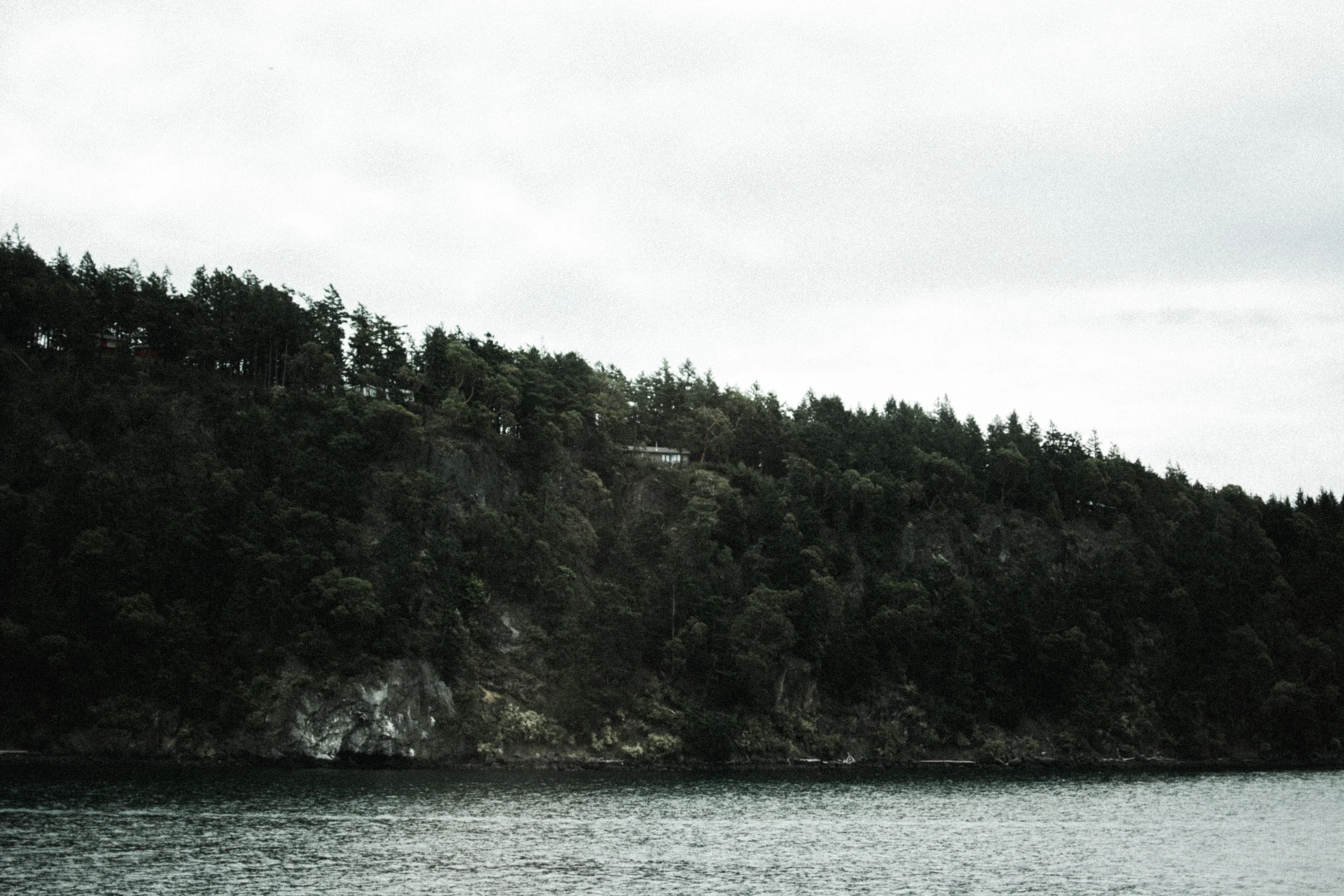 friday harbor