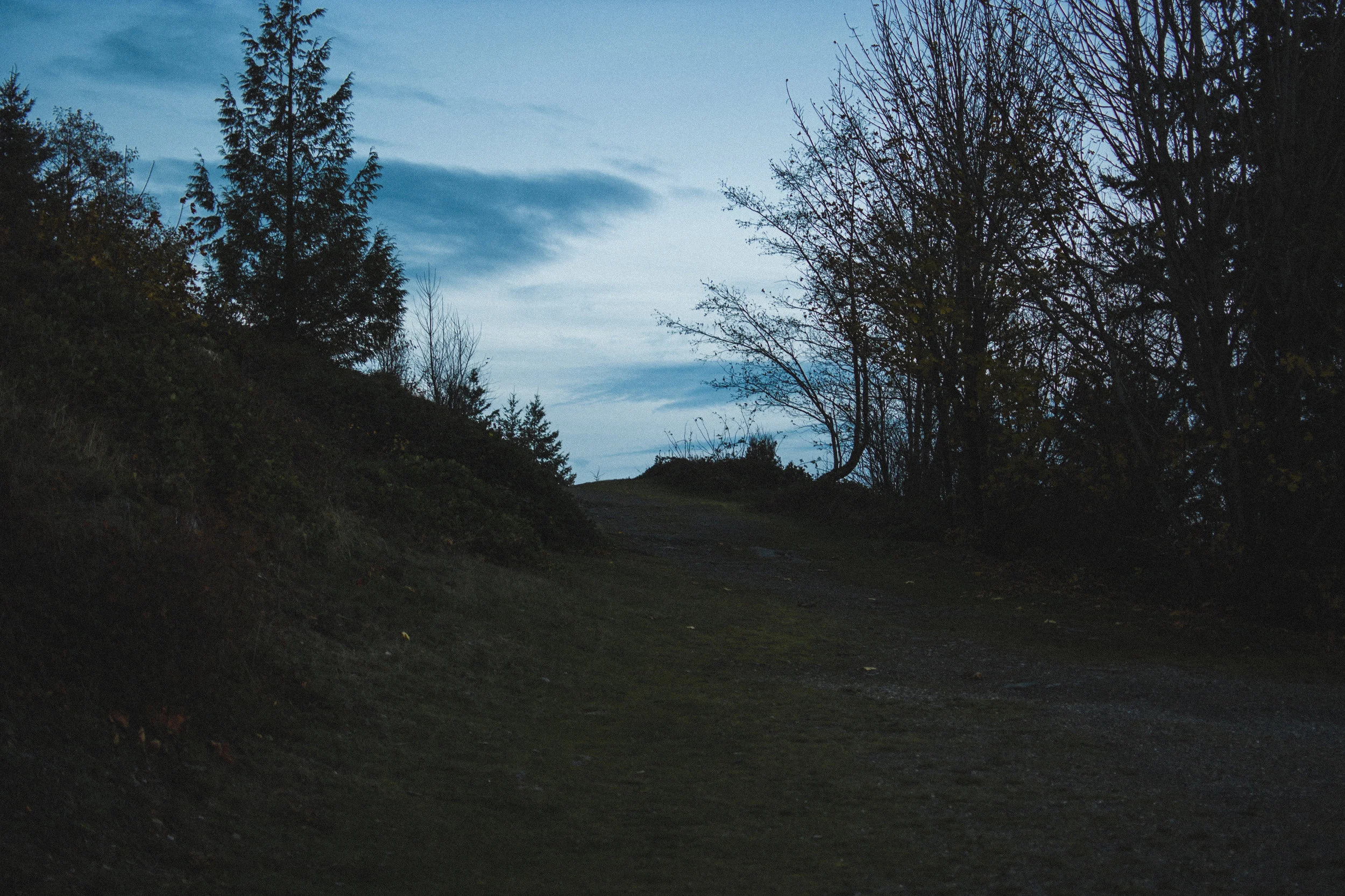 skagit overlook