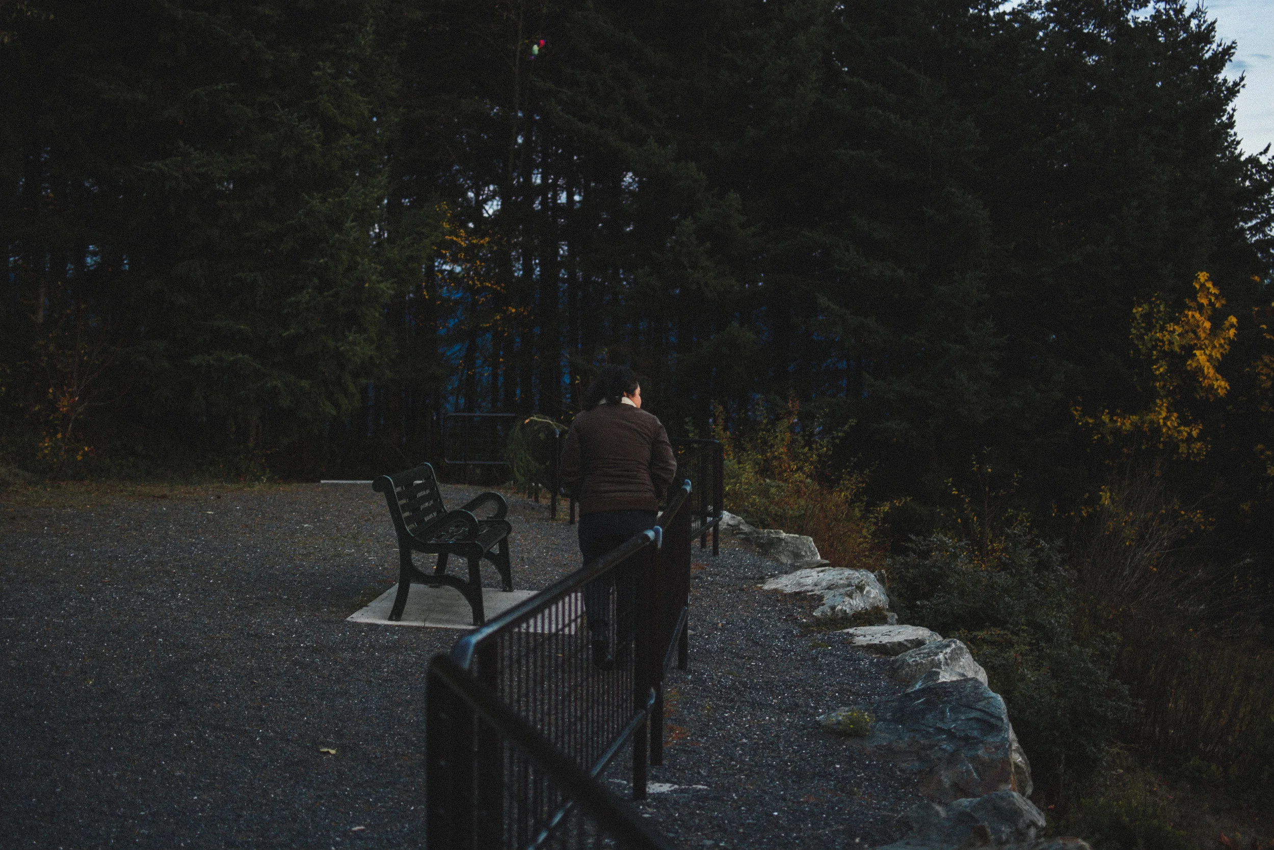 skagit overlook