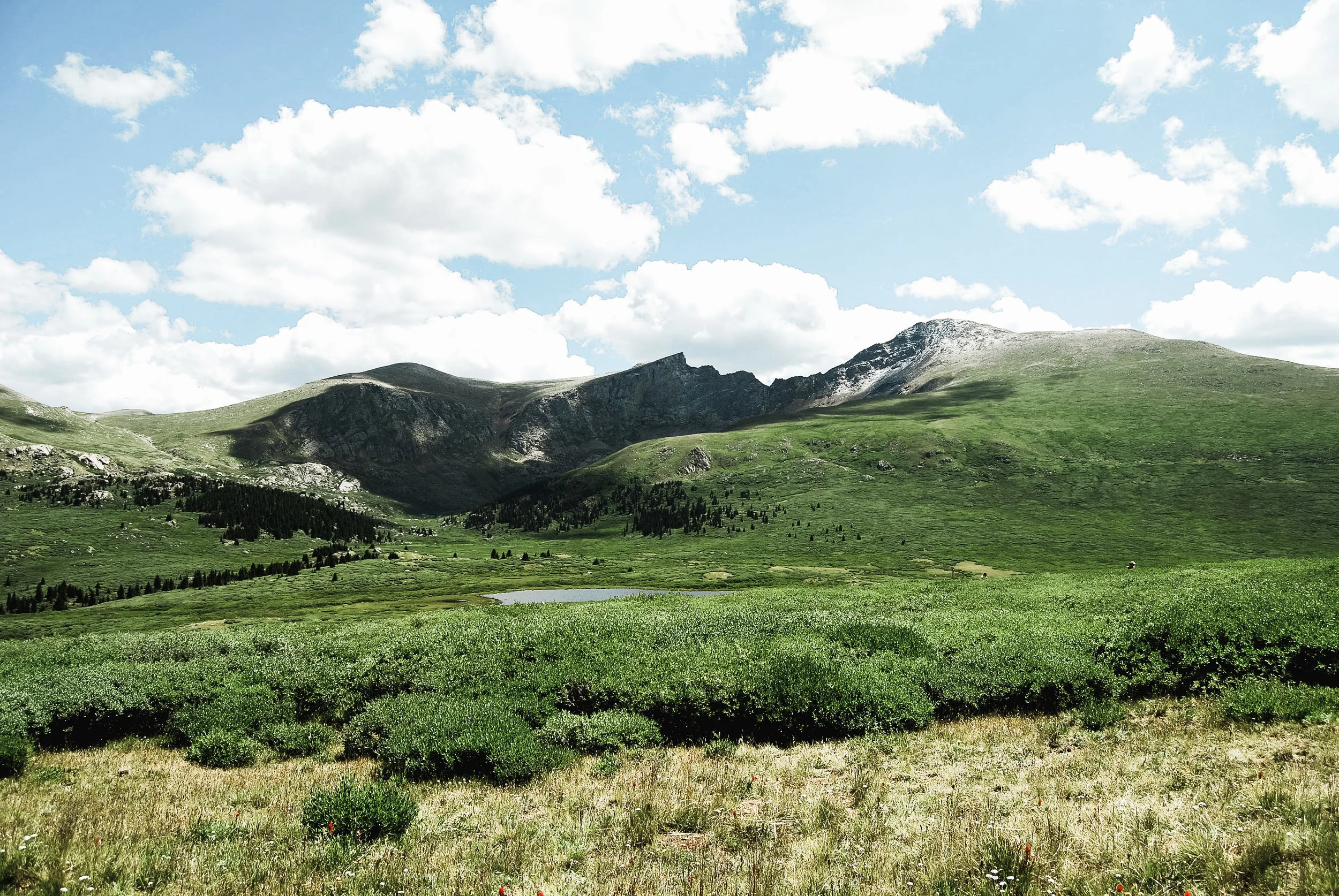 mt bierstadt