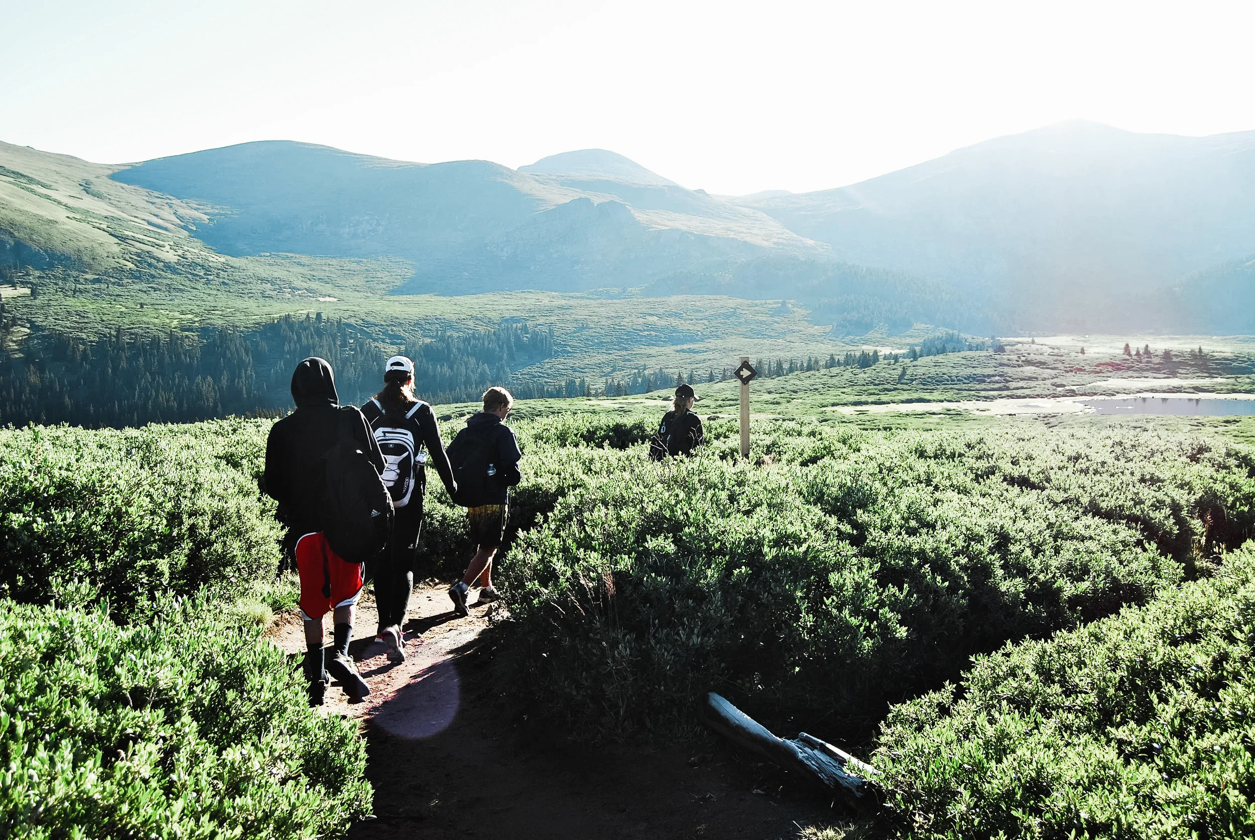 mt bierstadt