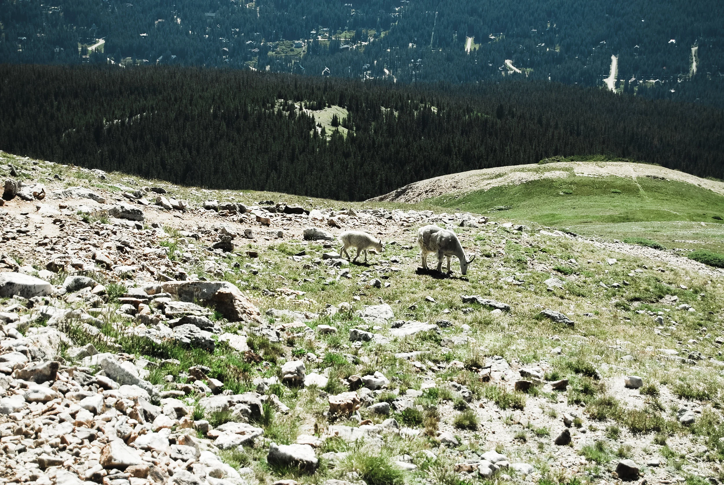 quandary peak