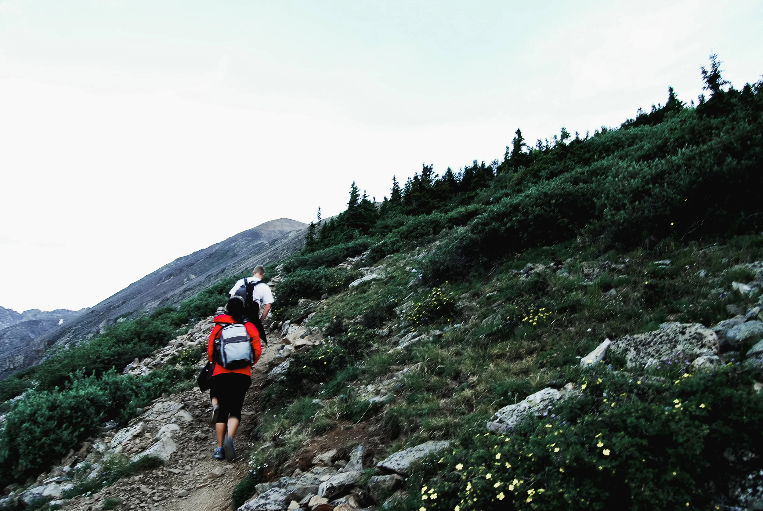 quandary peak