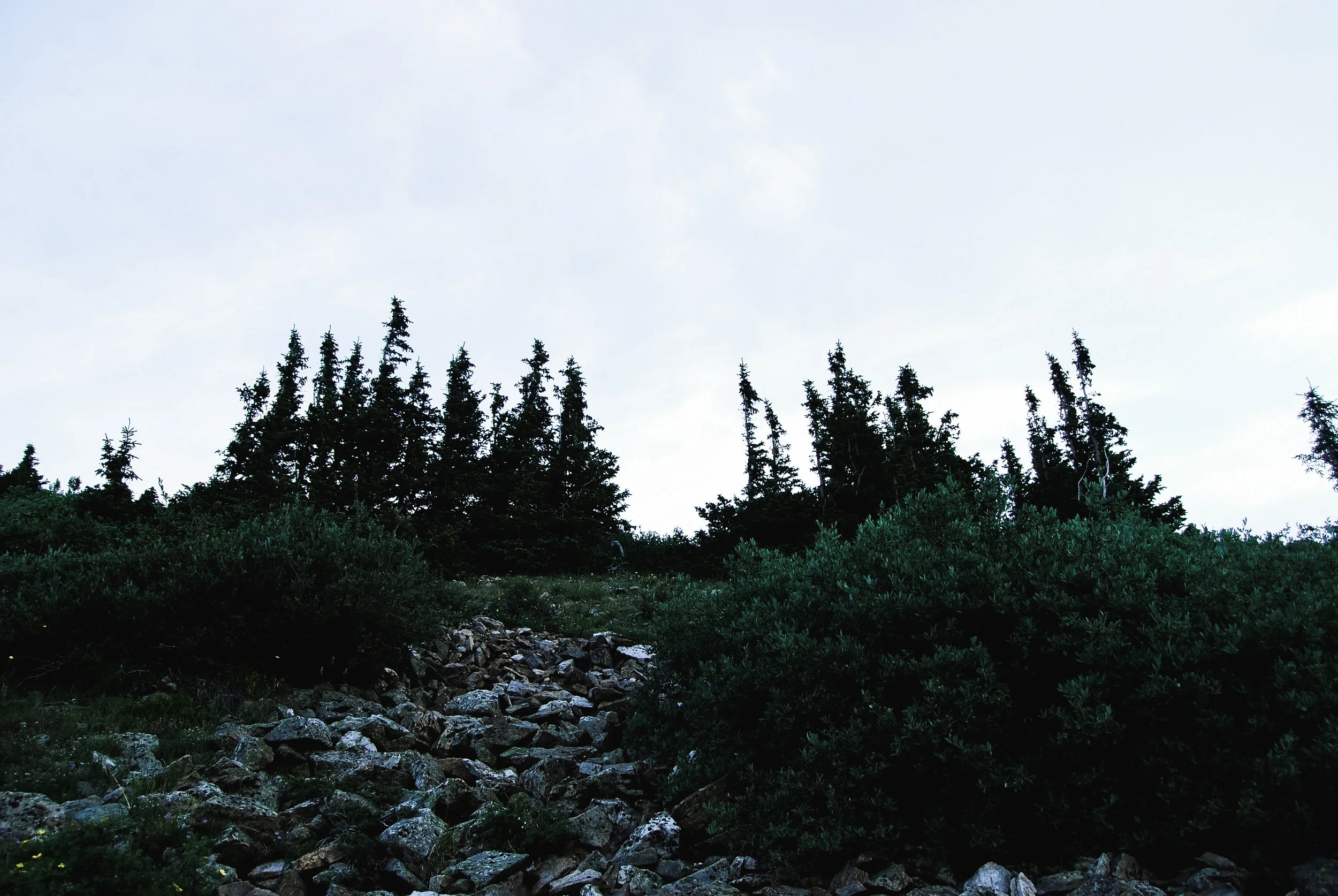 quandary peak
