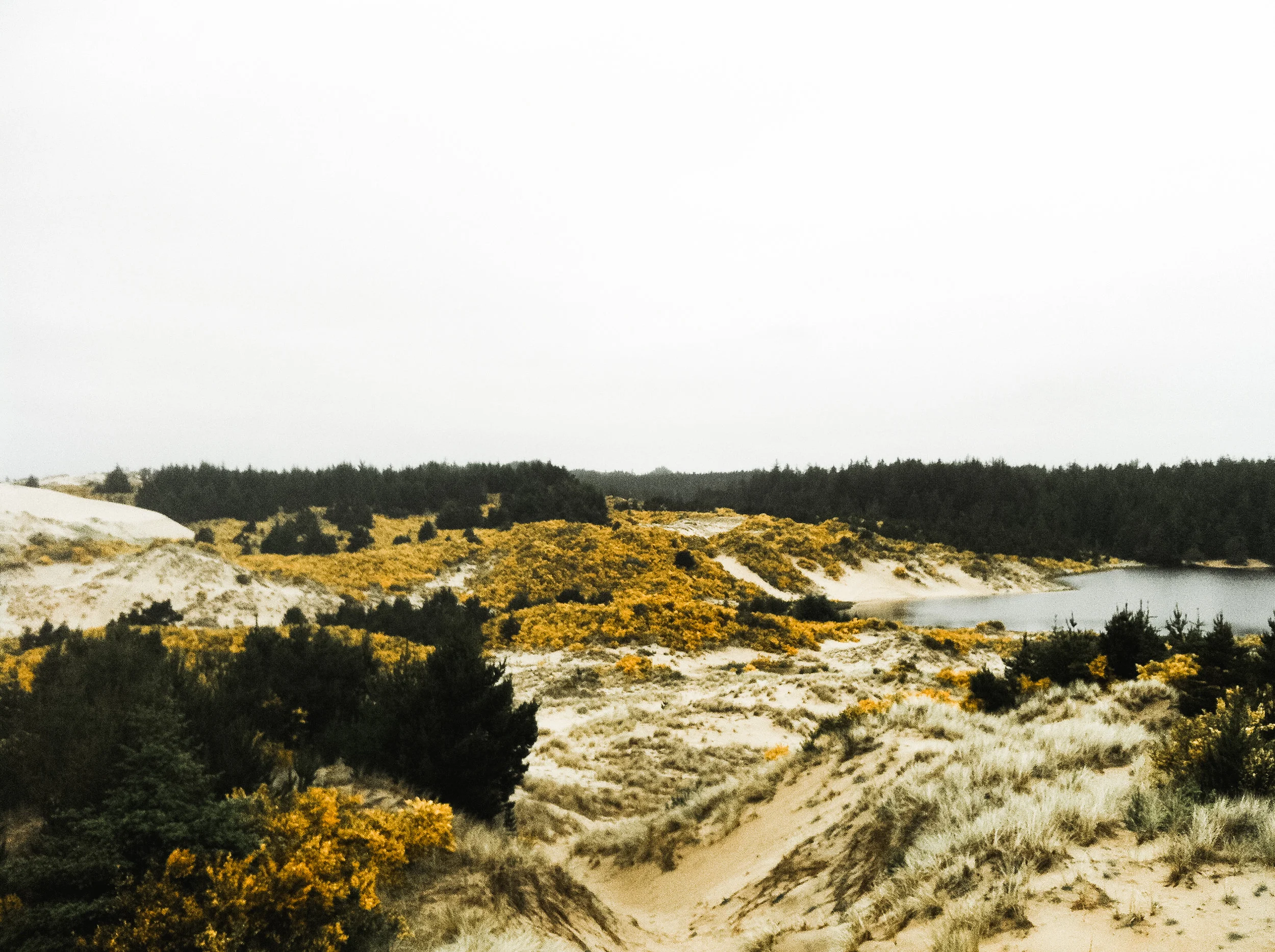 honeyman state park