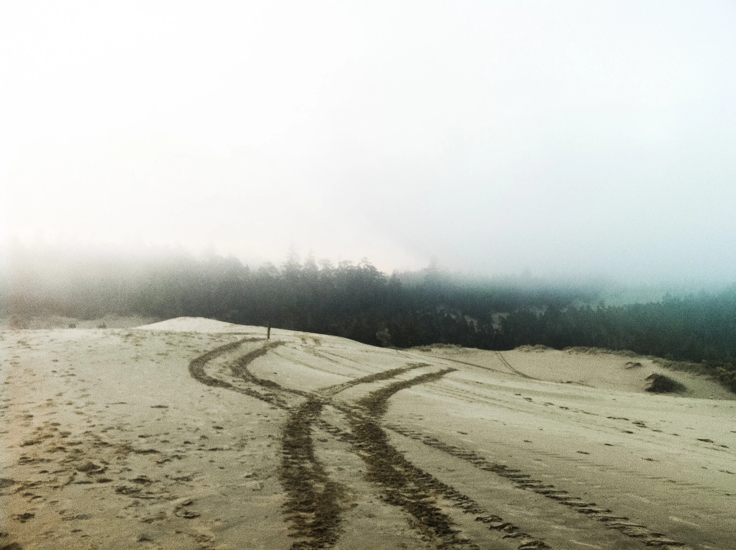 honeyman state park