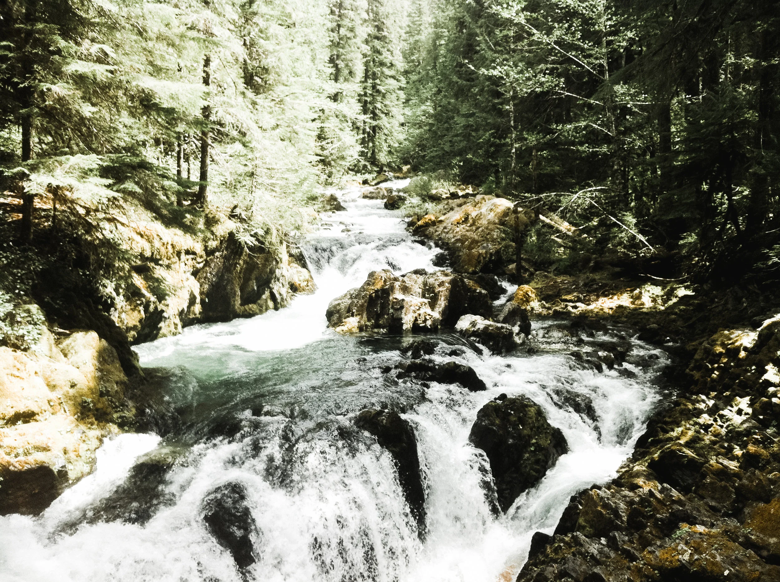 opal creek