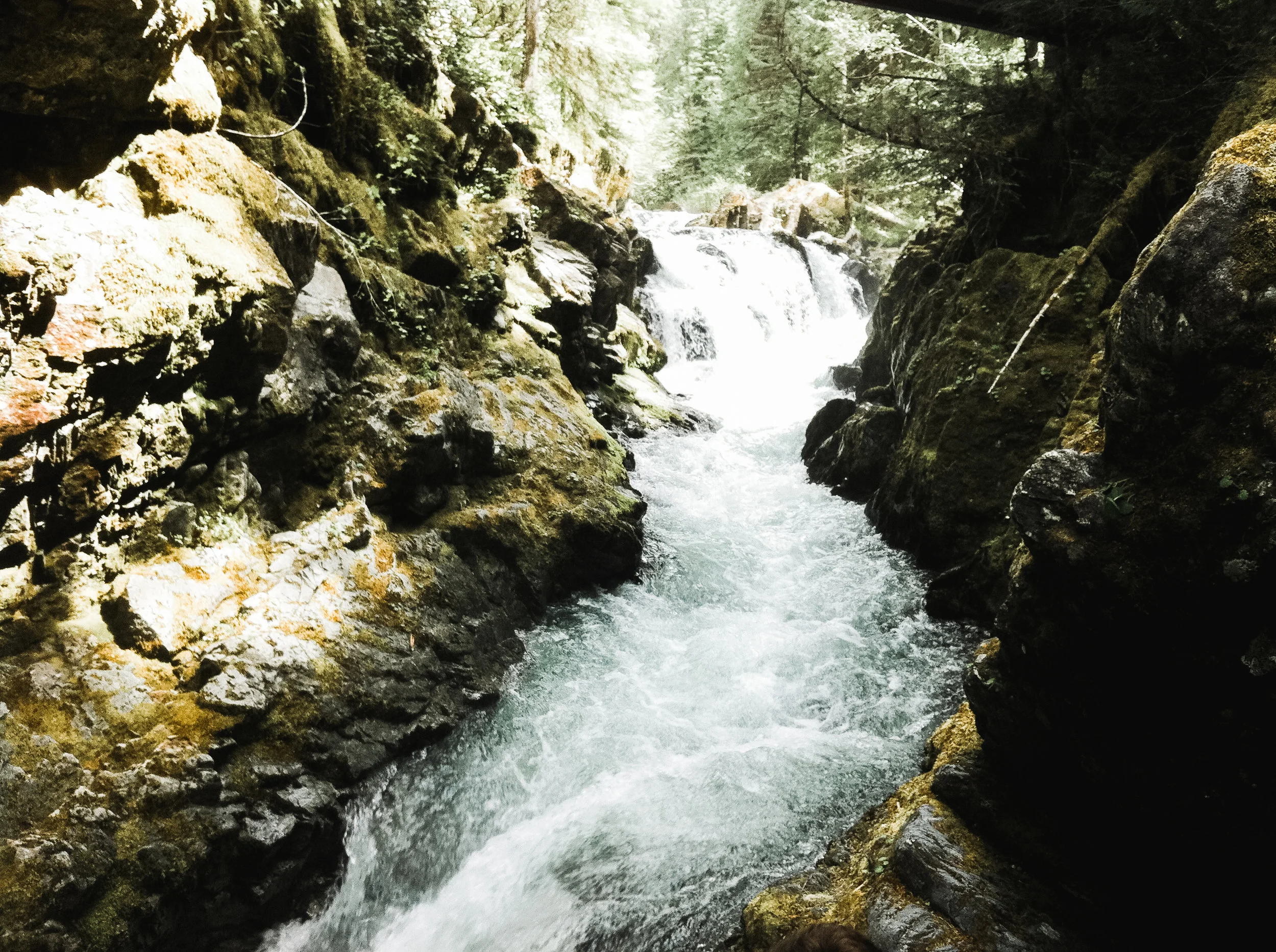 opal creek