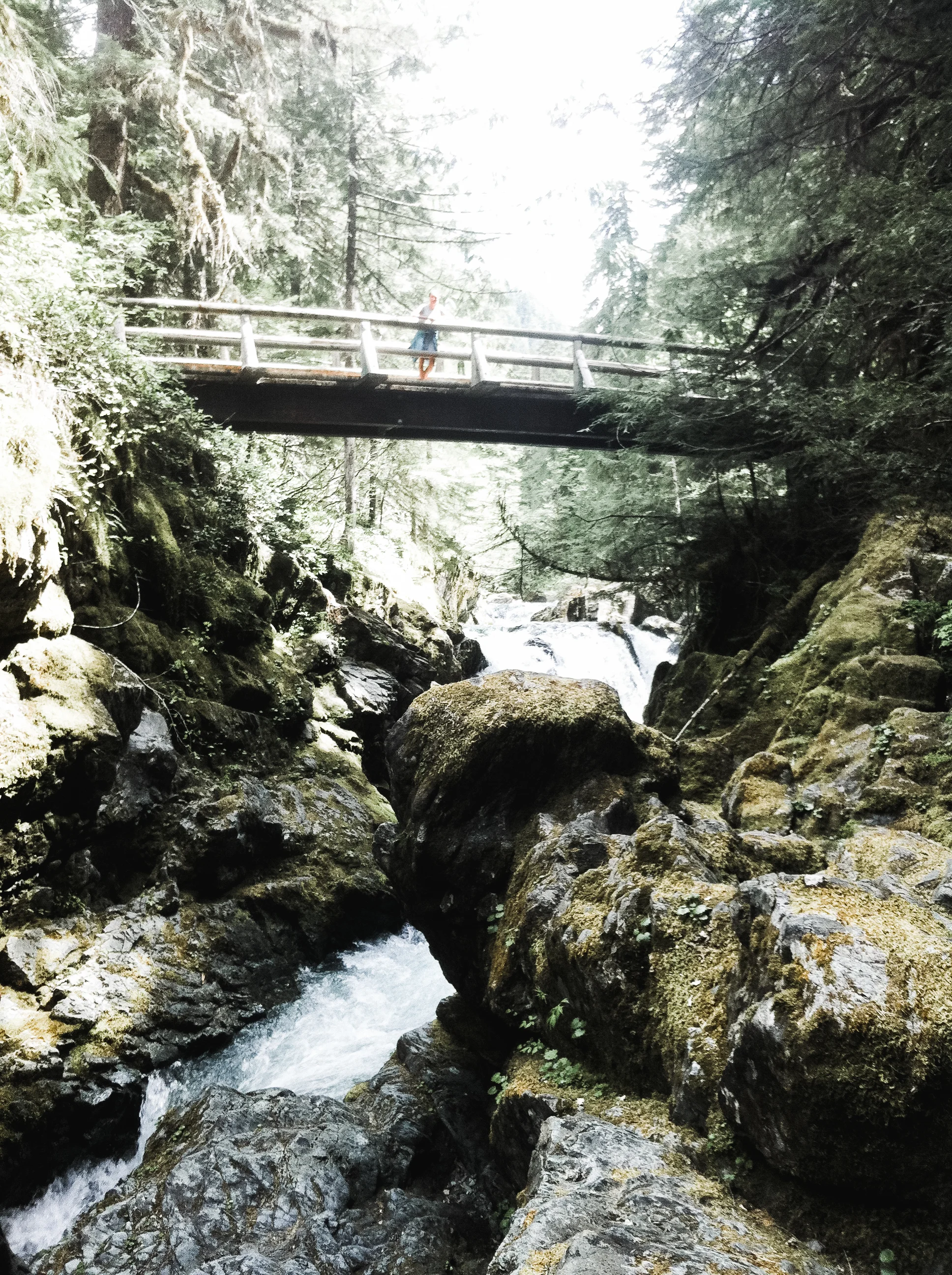 opal creek
