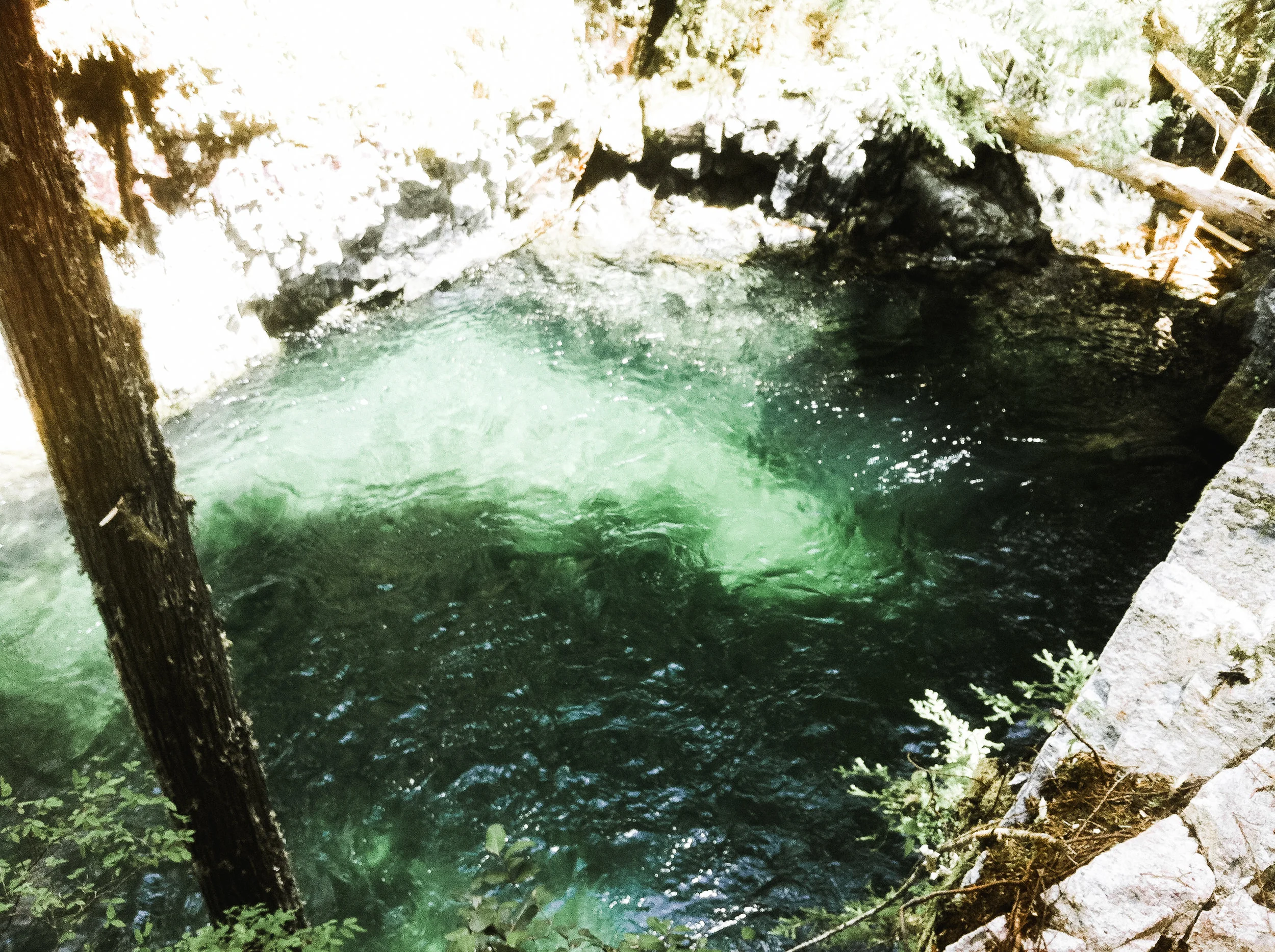 opal creek