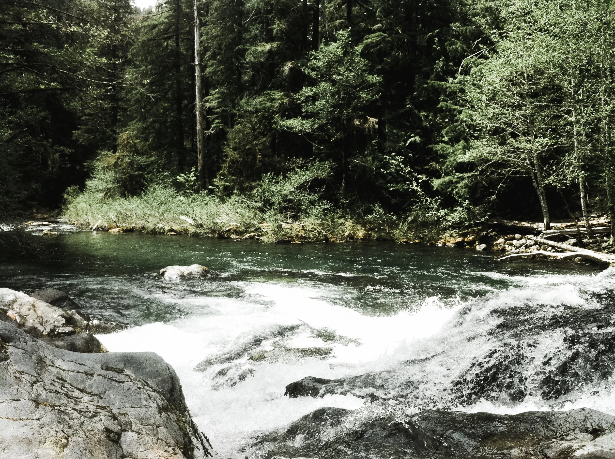 opal creek