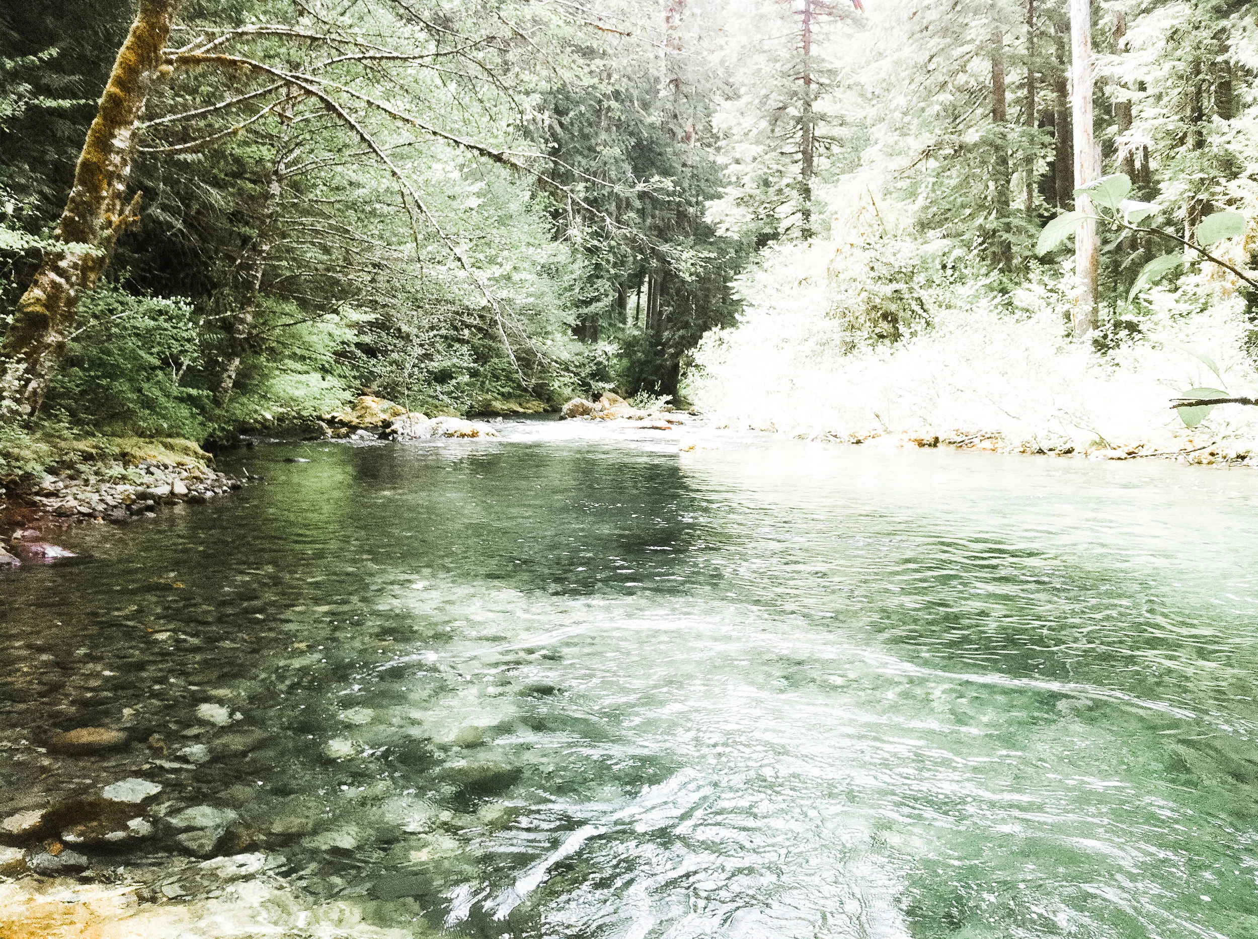 opal creek