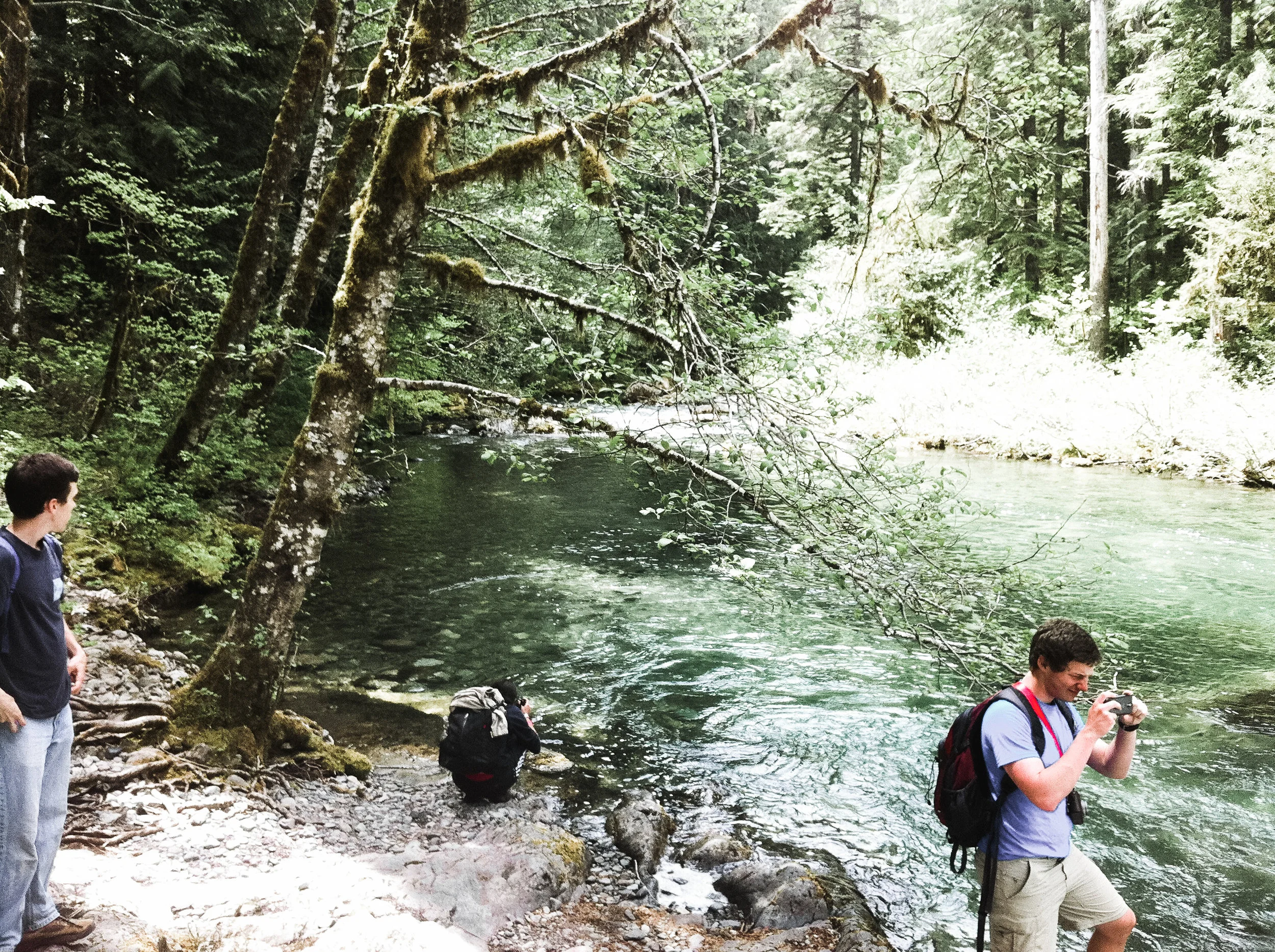 opal creek