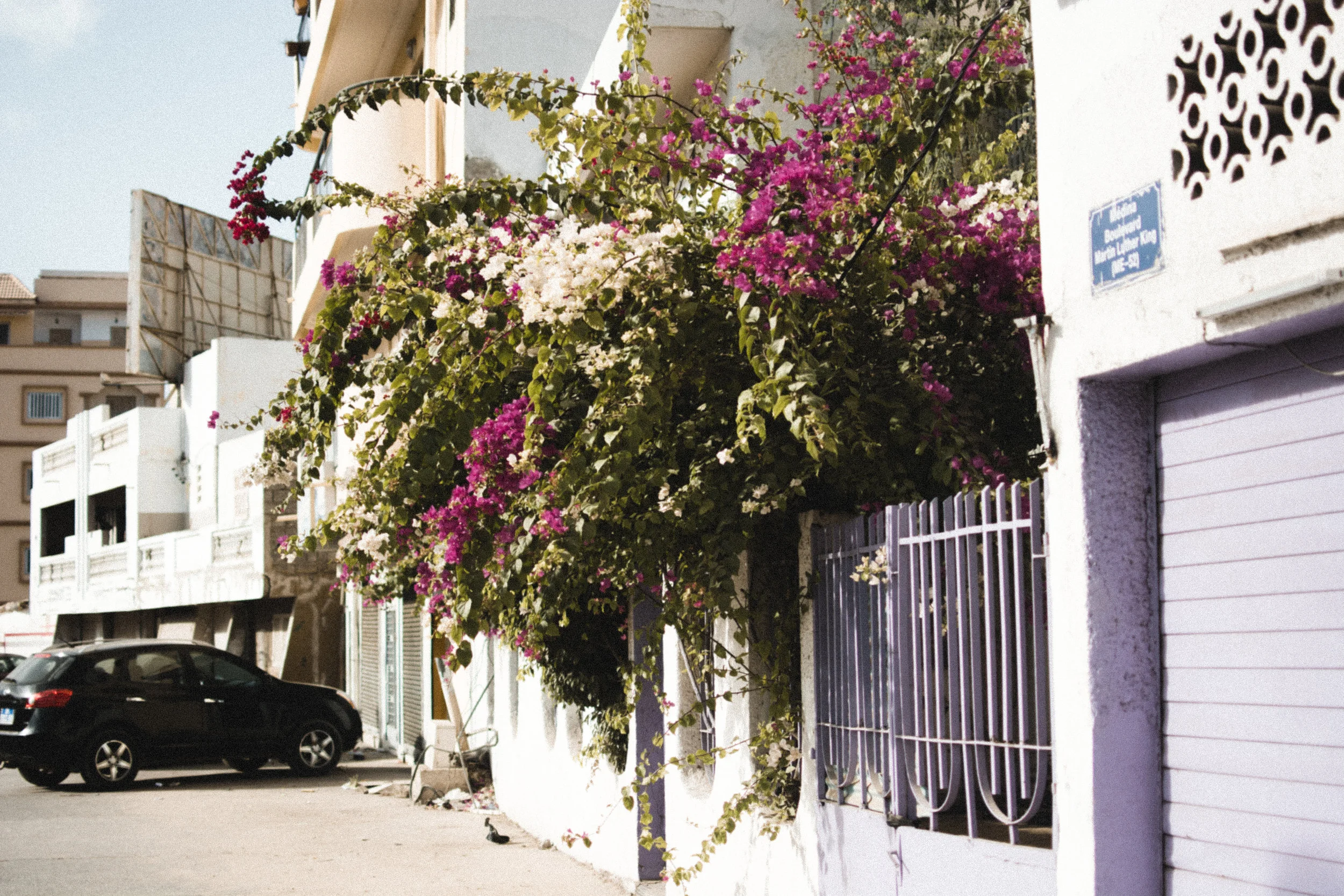 dakar