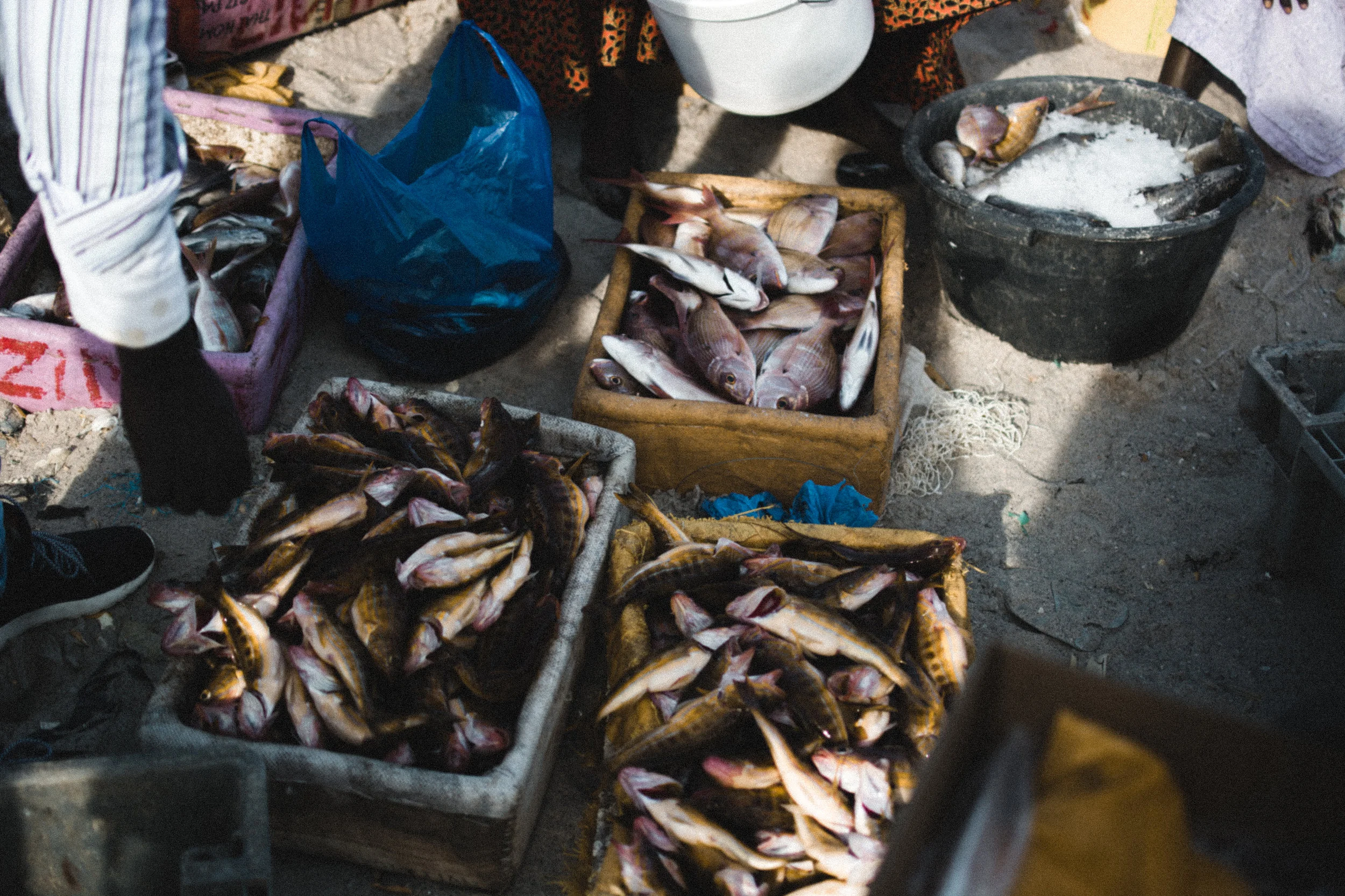 dakar
