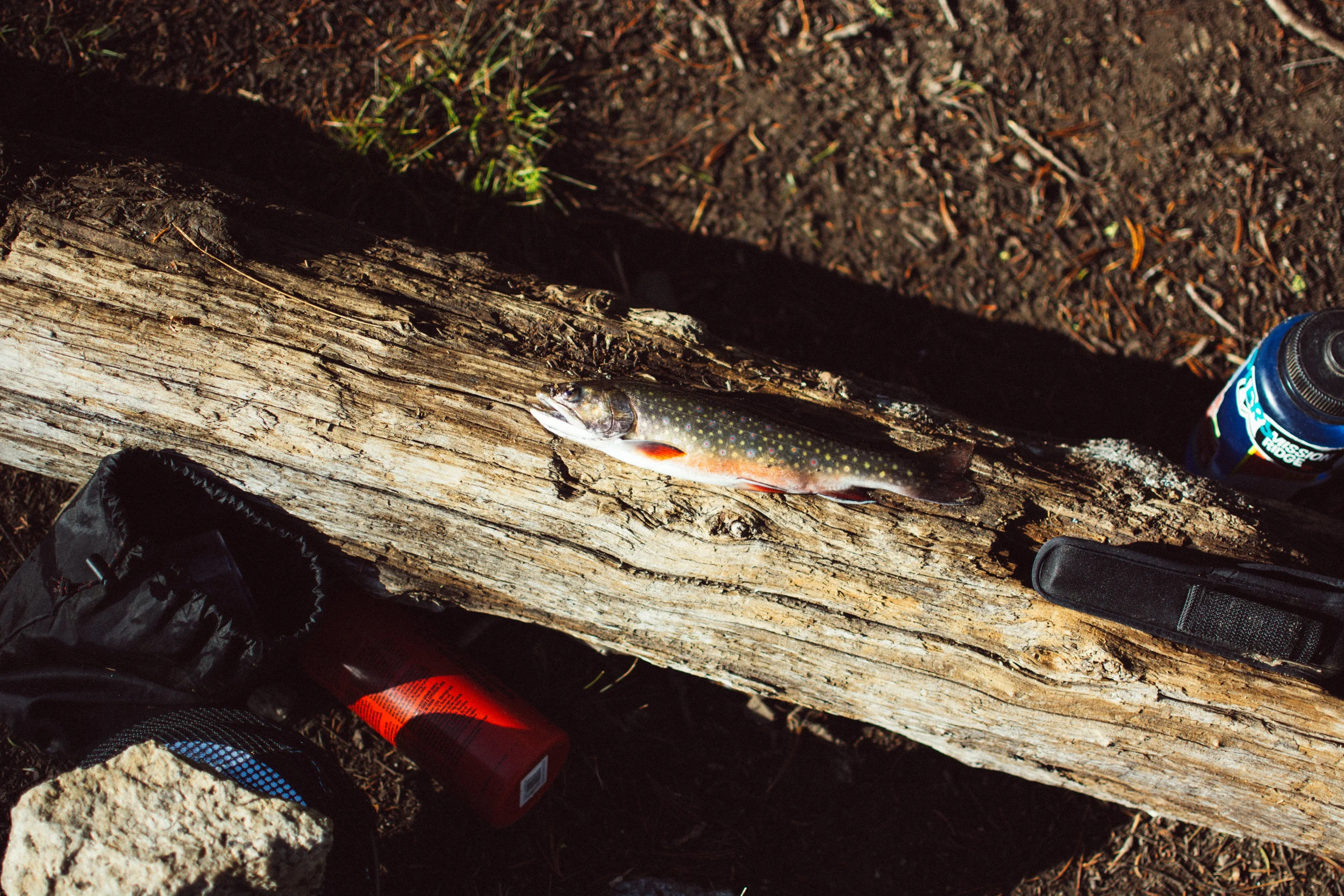 fishin' (again)