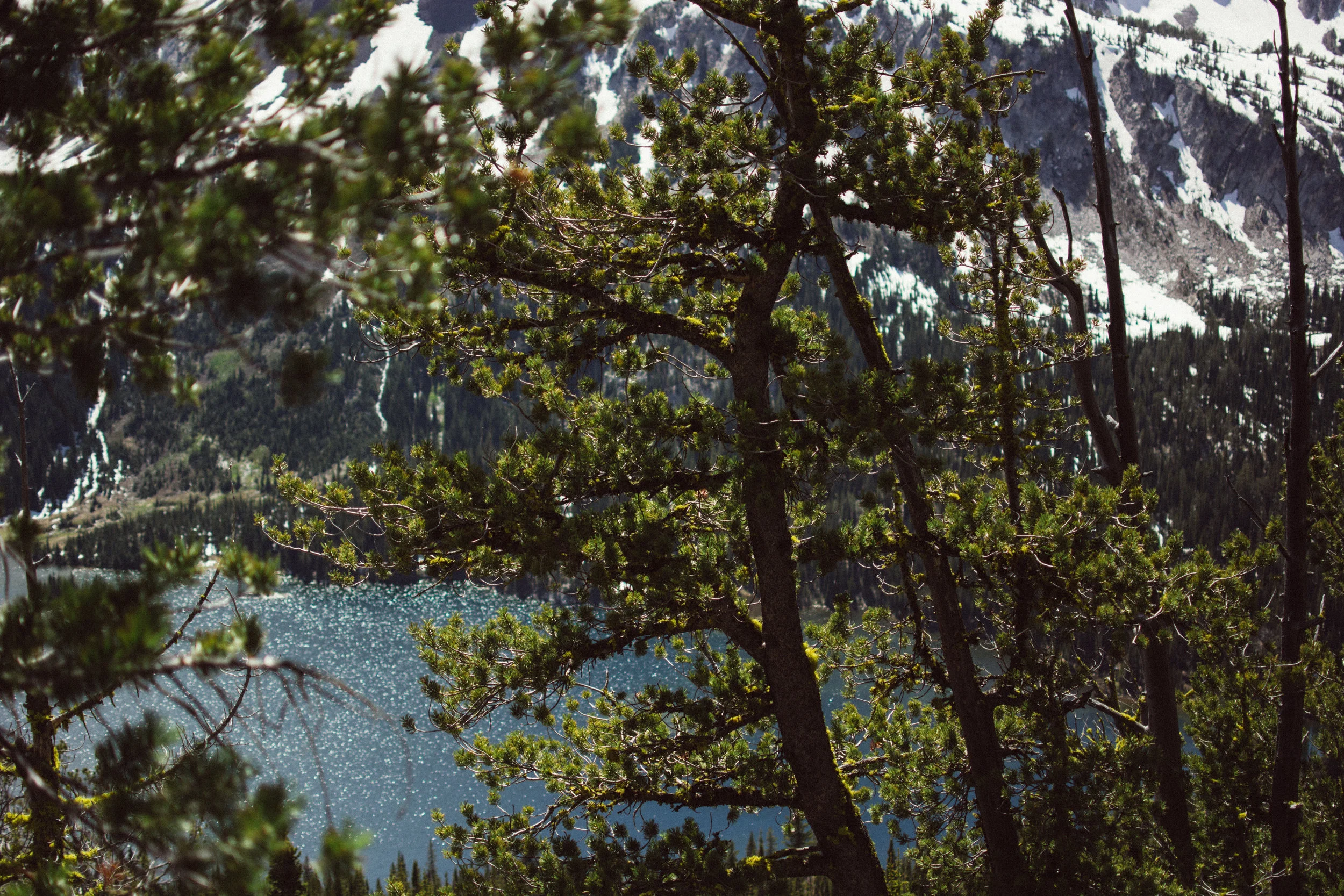 climbin'