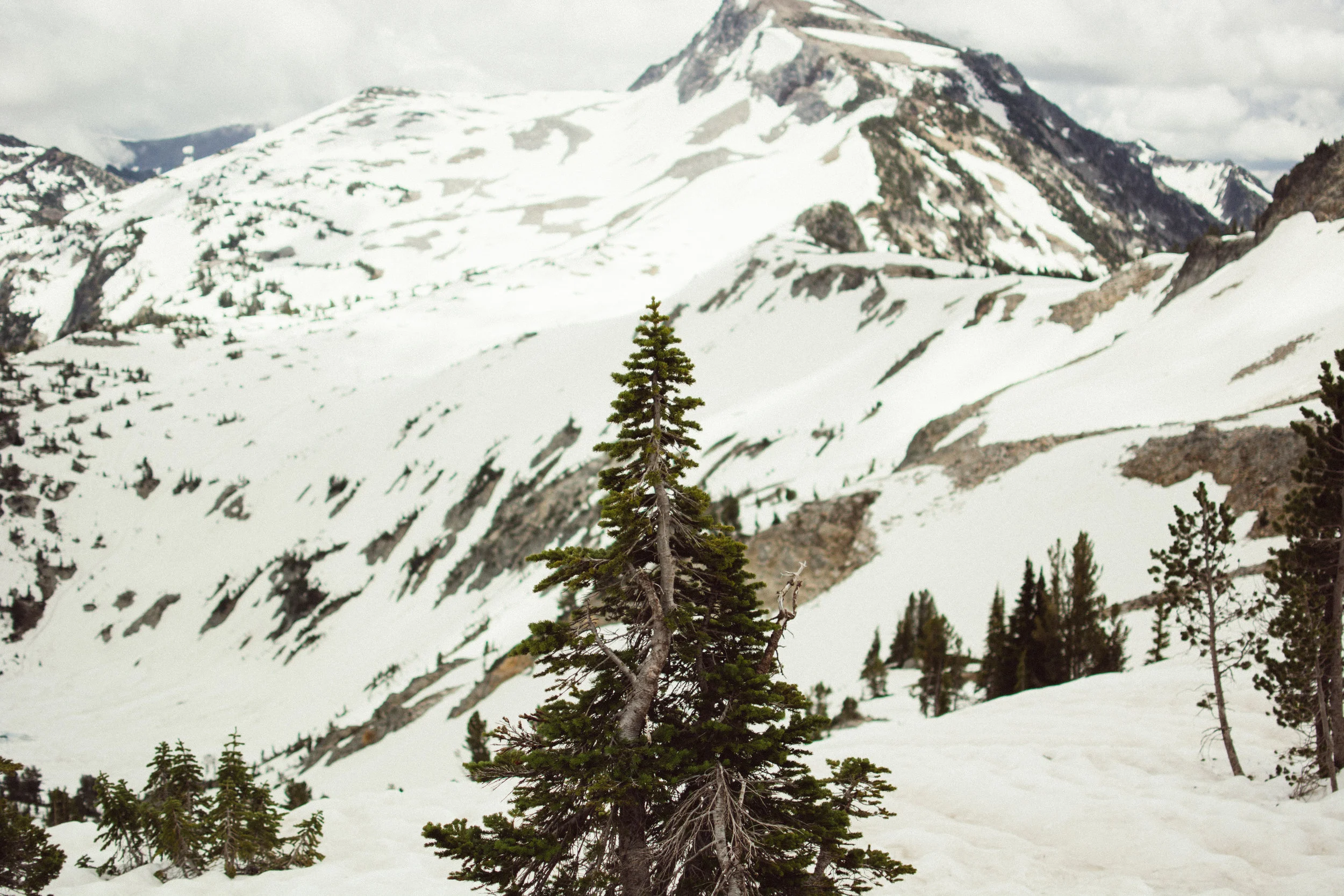 climbin'