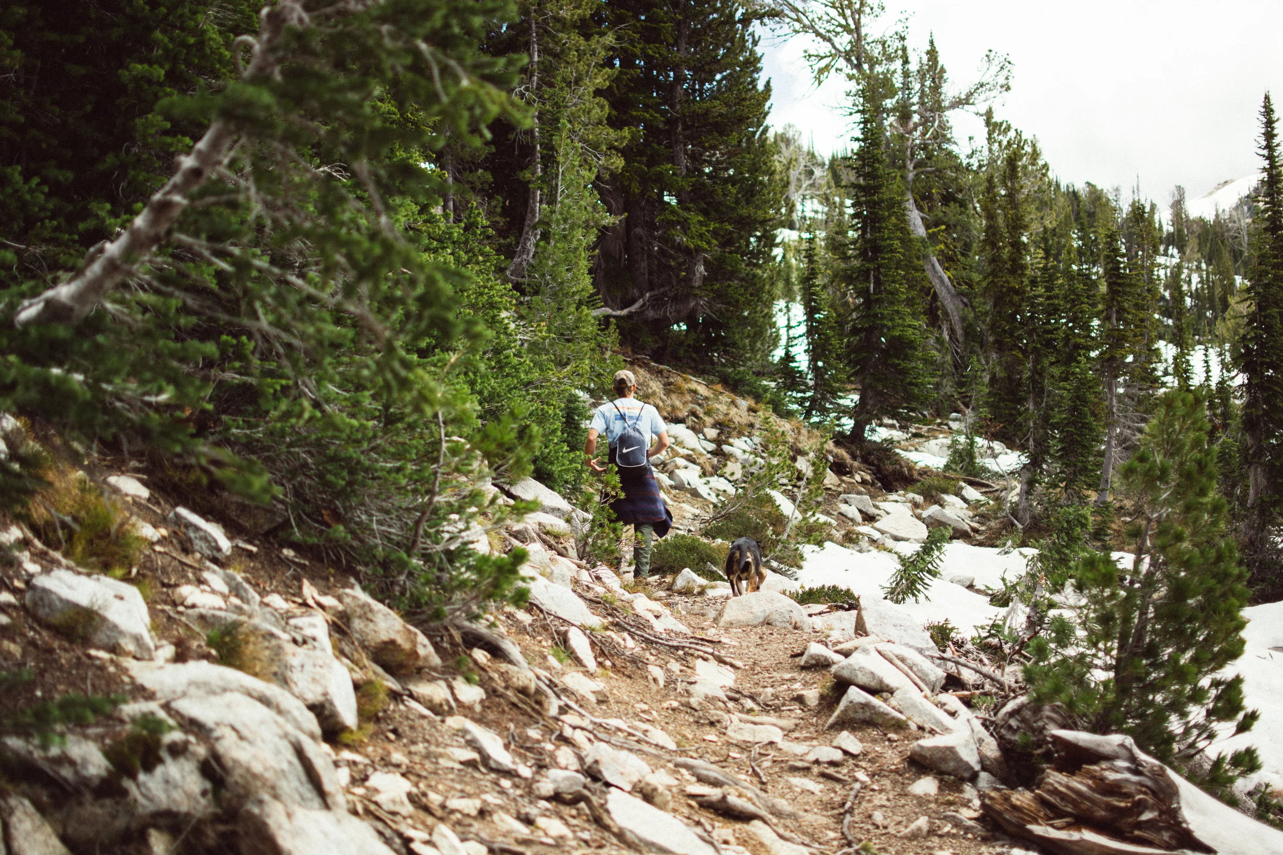 climbin'