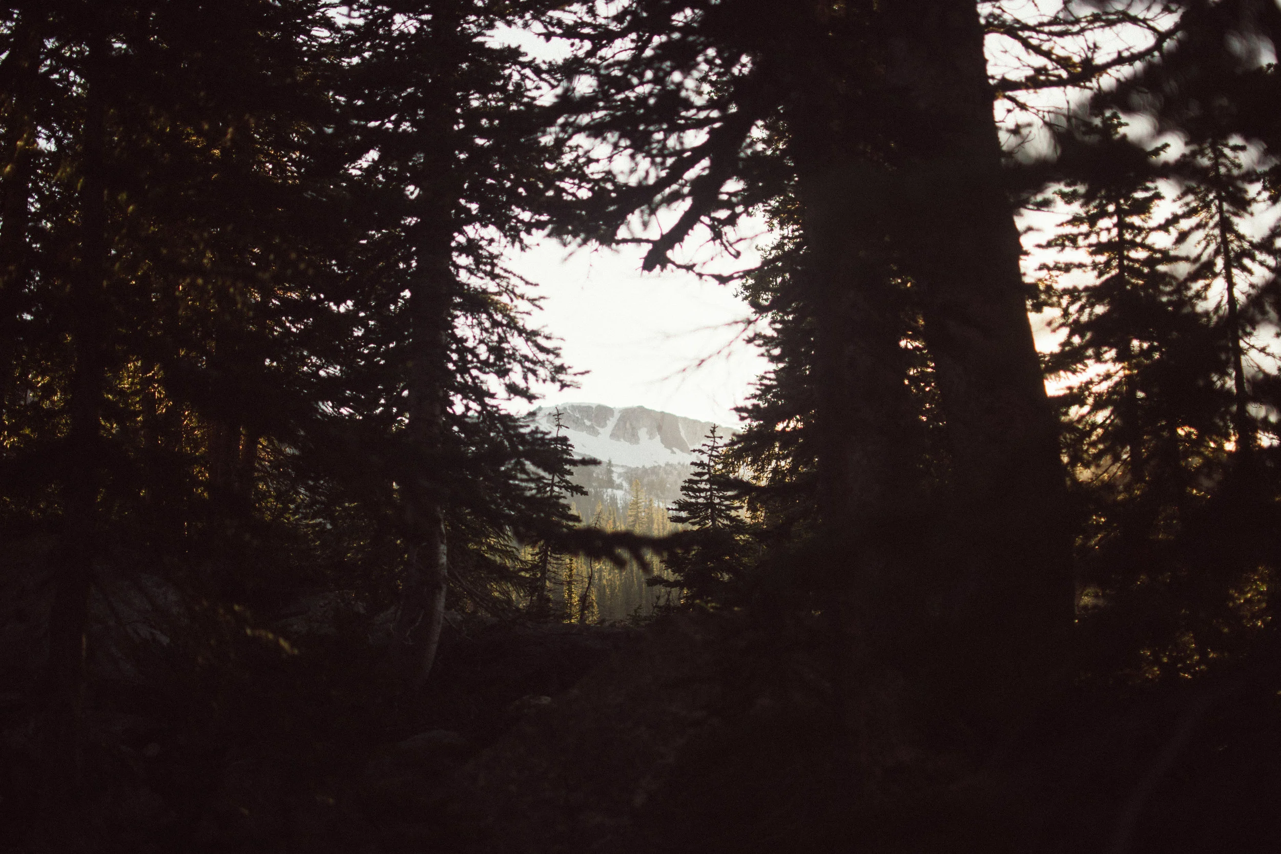 campin'