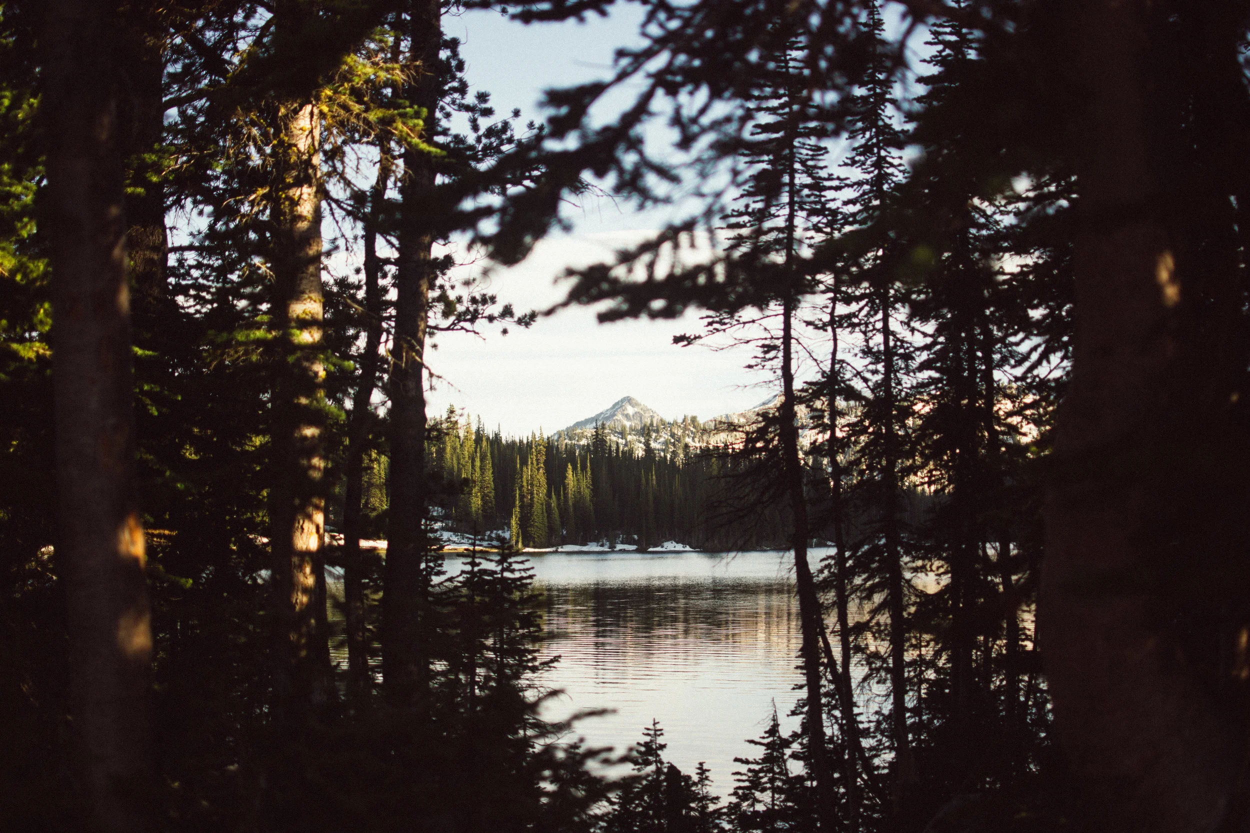 campin'