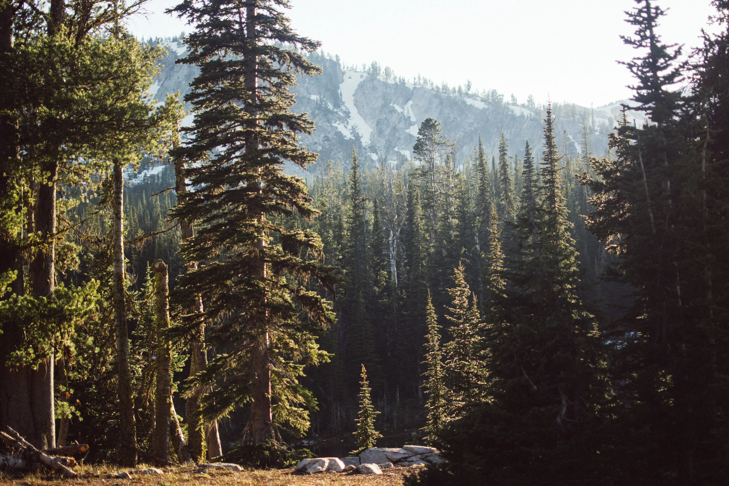campin'