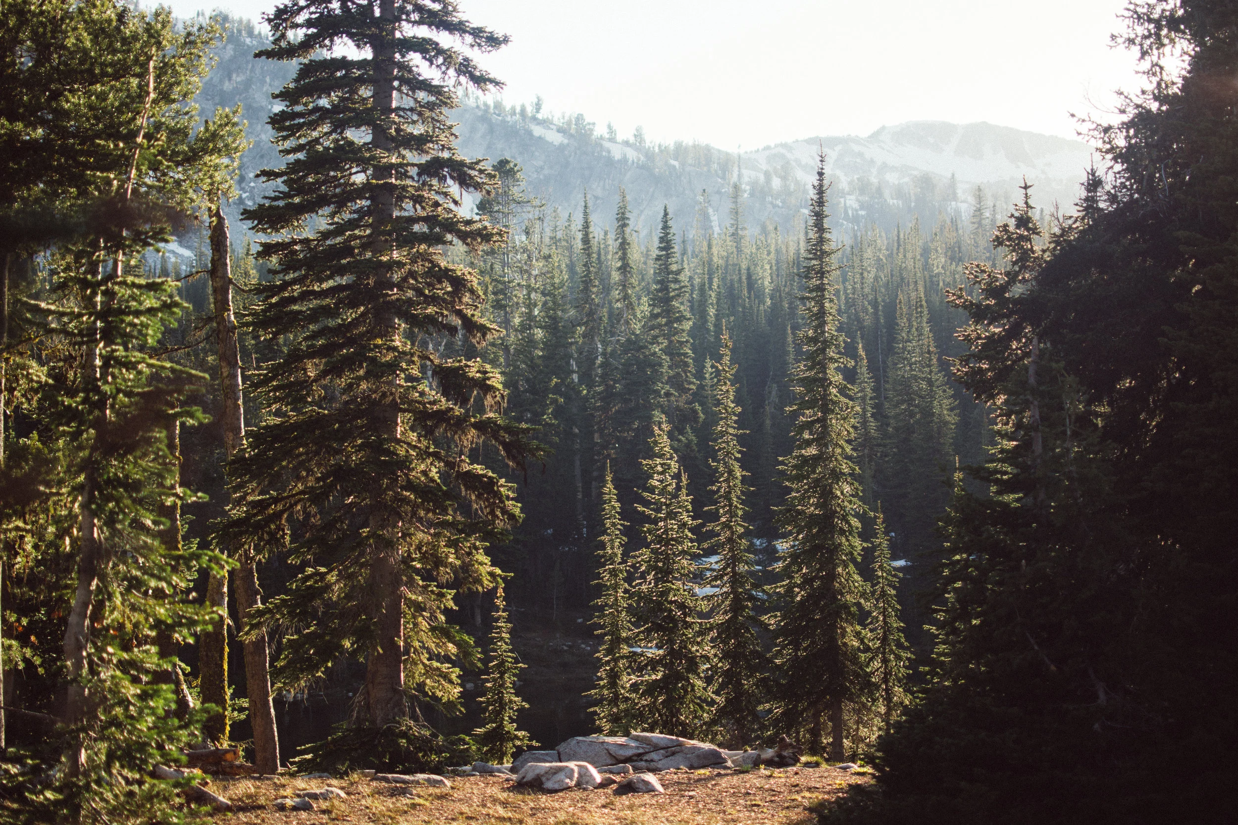 campin'