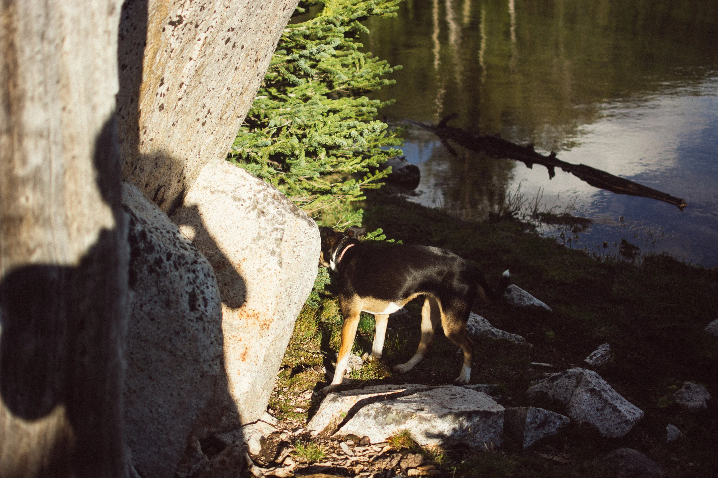 campin'