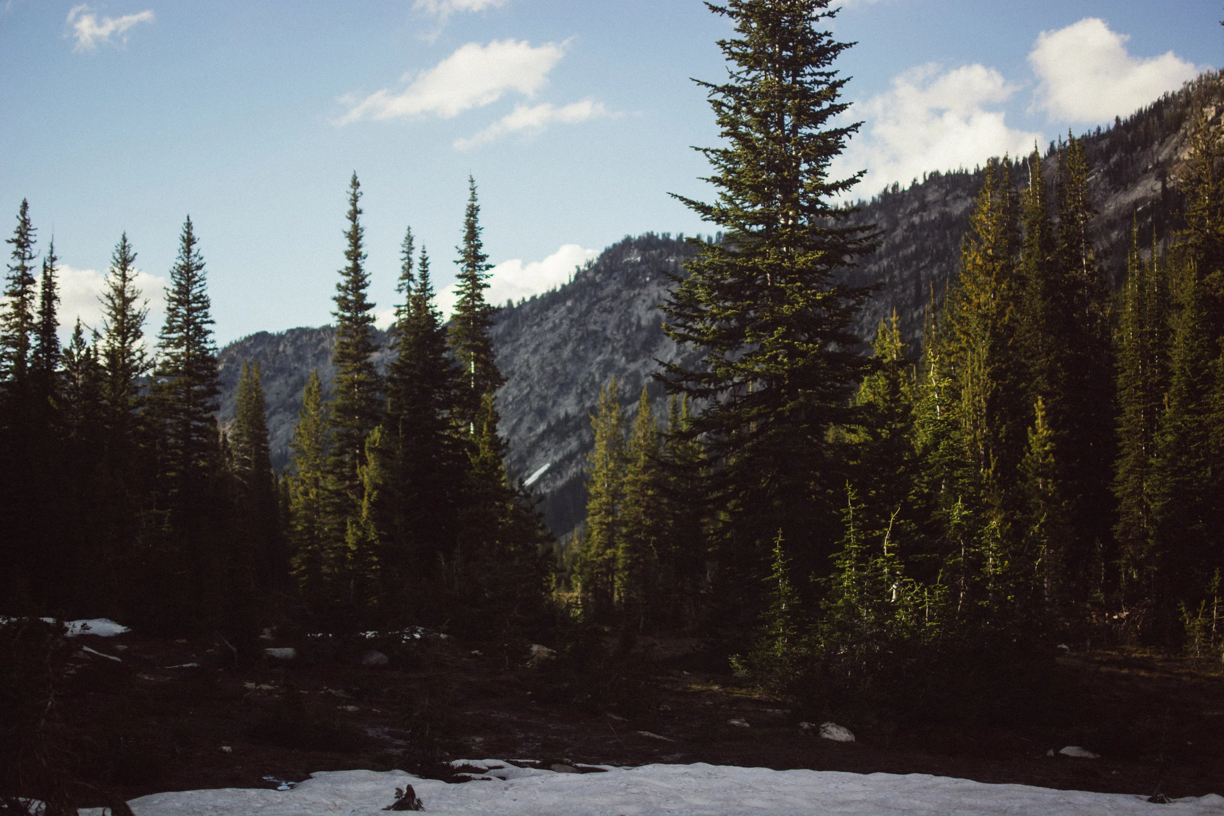 campin'