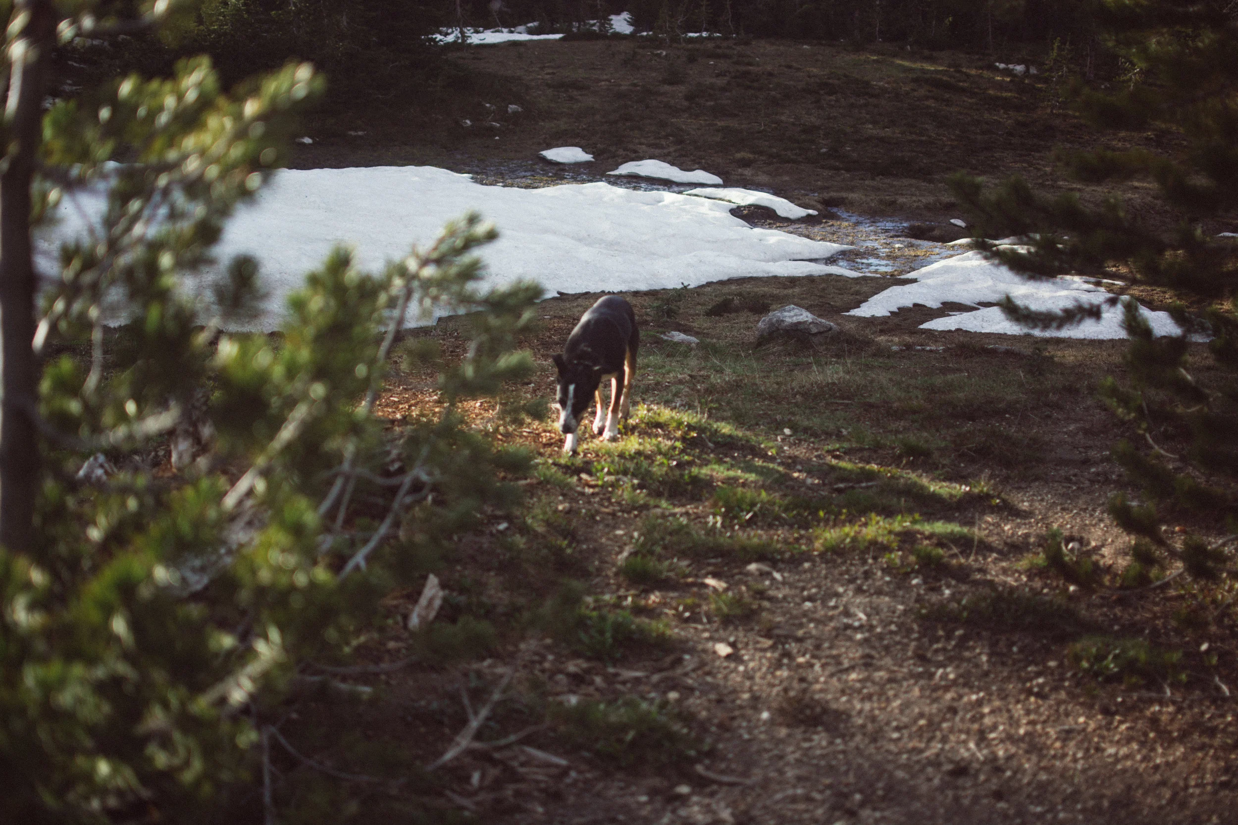 campin'