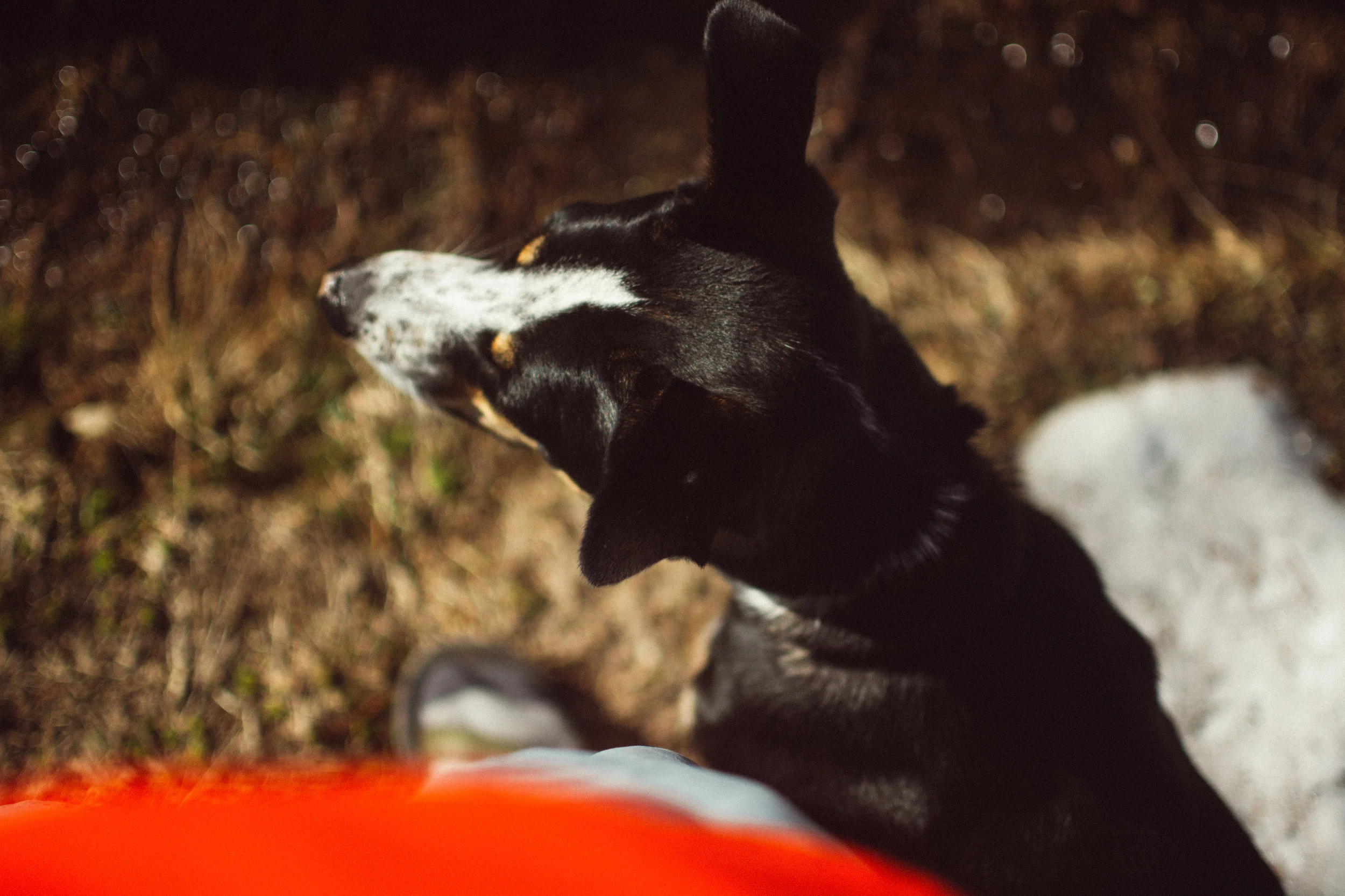 campin'