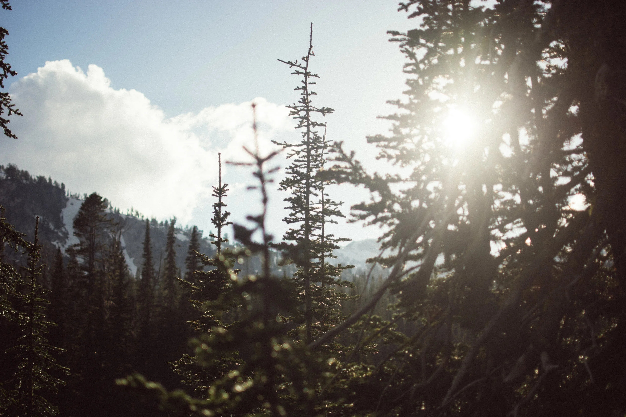 campin'