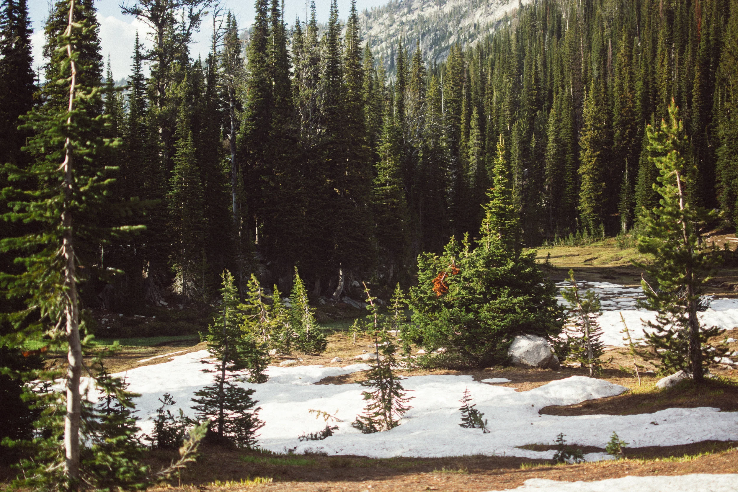campin'