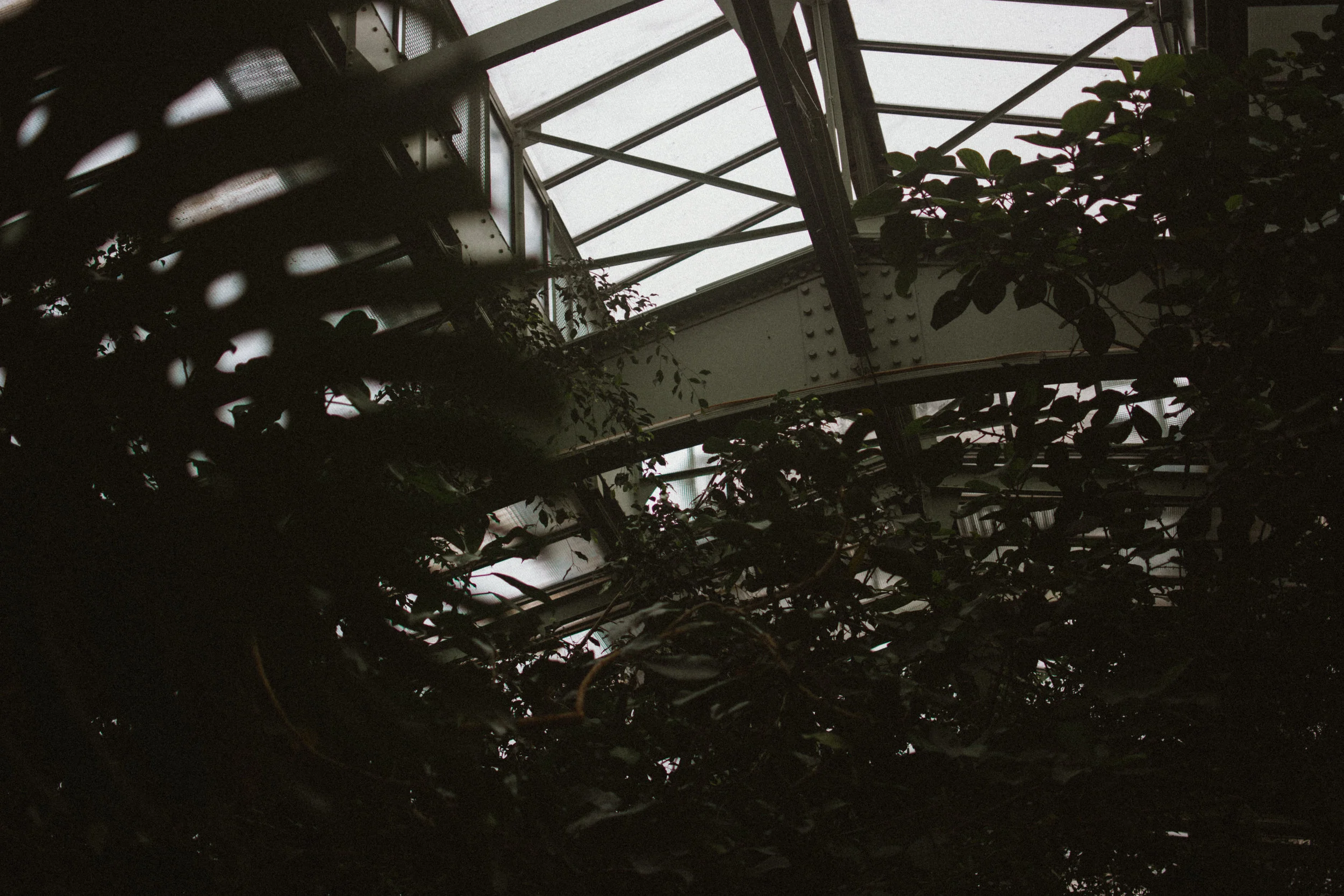 jardin des plantes