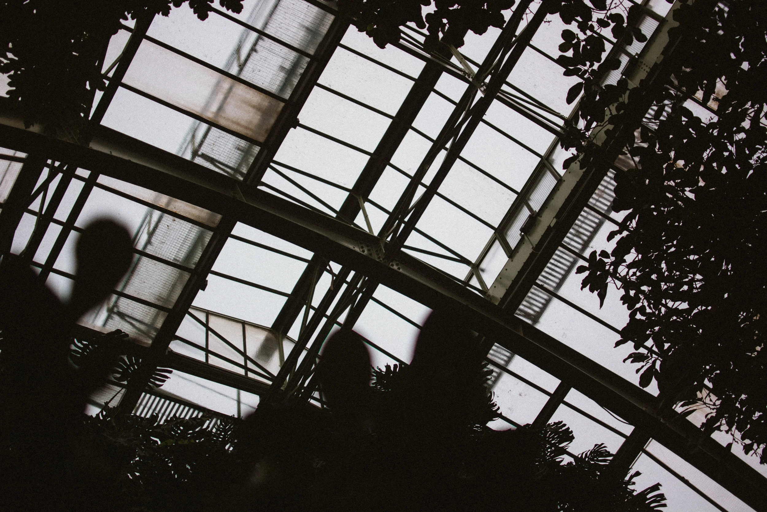 jardin des plantes