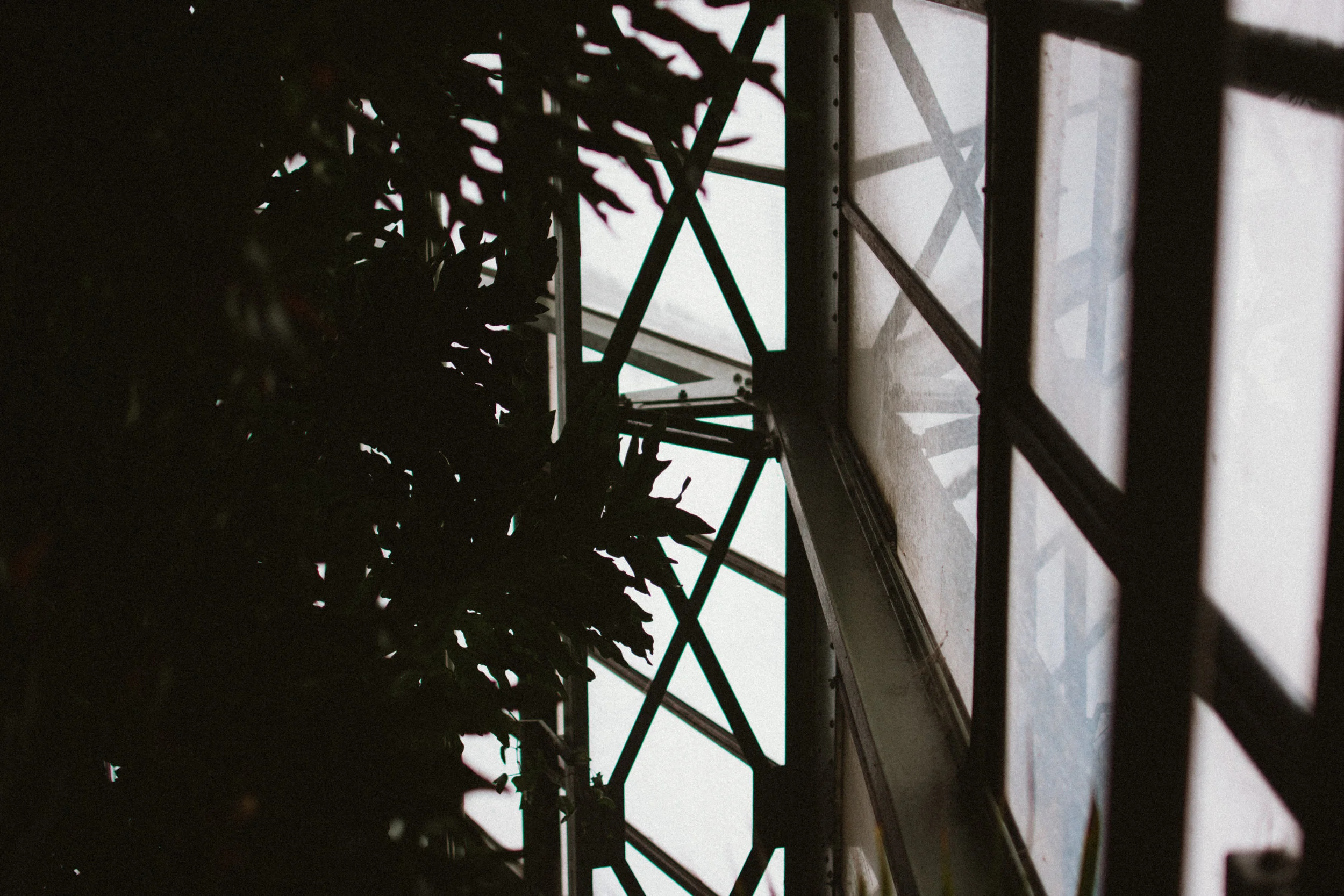 jardin des plantes