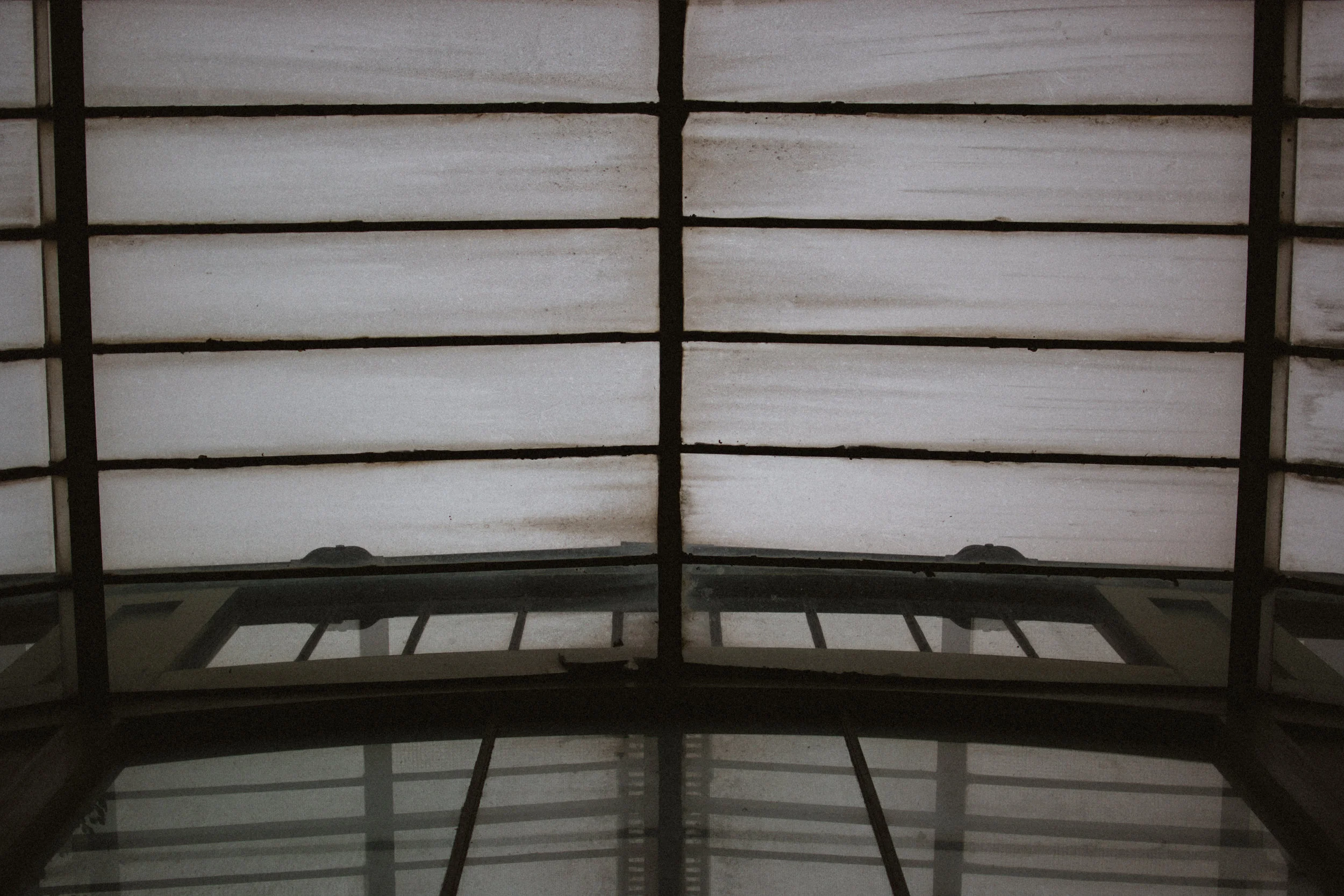 jardin des plantes