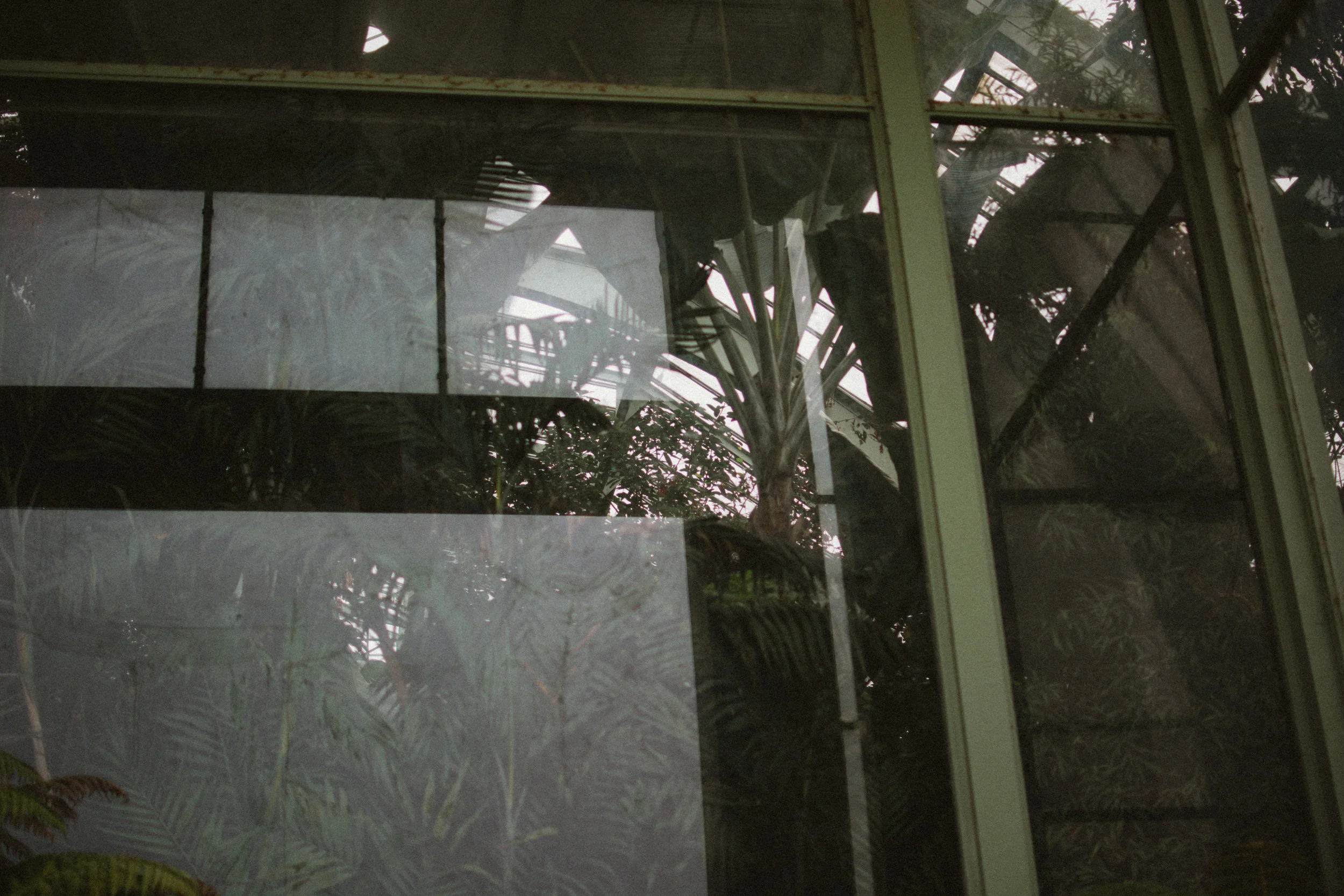 jardin des plantes